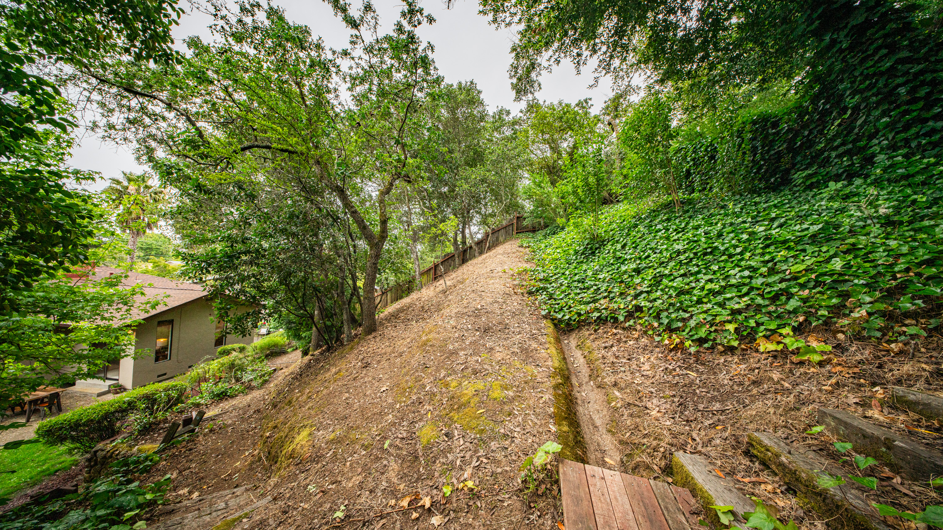  Expanded Single Story Home in Desirable Southern Novato - 物件實景