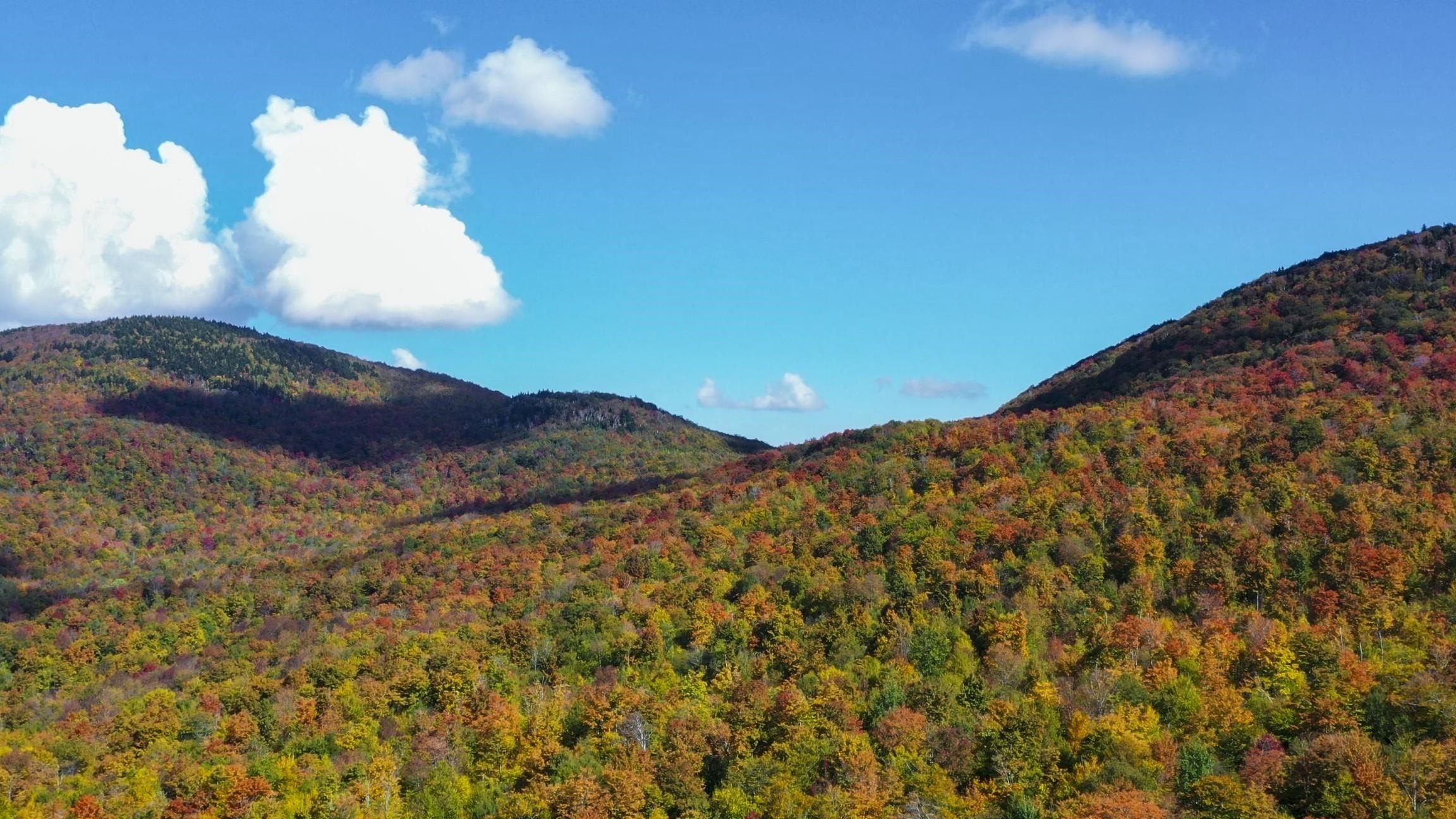 Jay, Vermont, 05859, United States, ,Land,For Sale,1999221