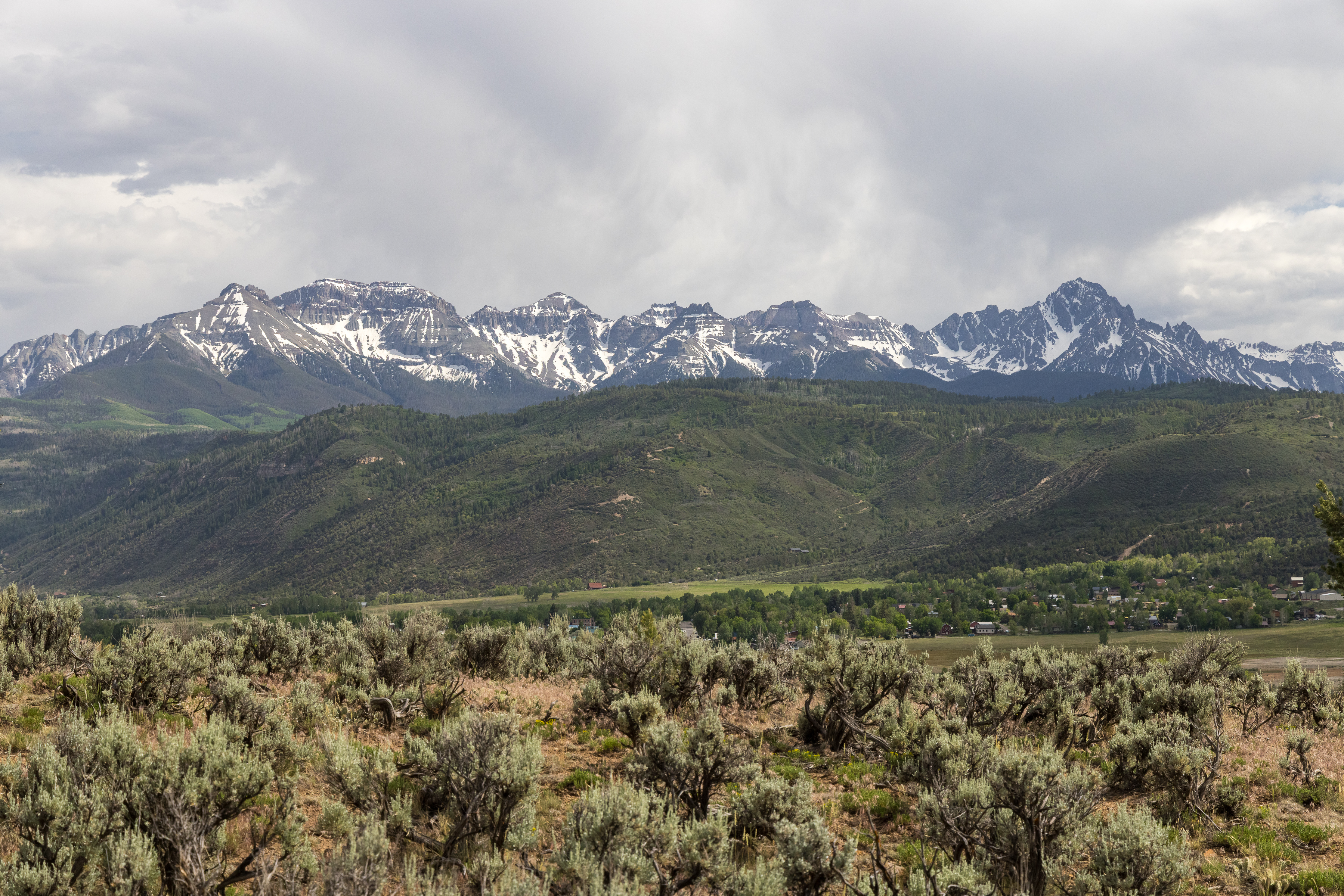  800 Golden Eagle Trail, Ridgway, CO, 81432 - 物件實景