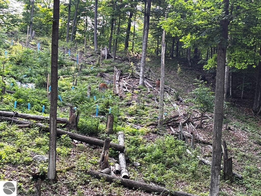 Traverse City, Michigan, 49684, United States, 3 Bedrooms Bedrooms, ,2 BathroomsBathrooms,Residential,For Sale,1882557