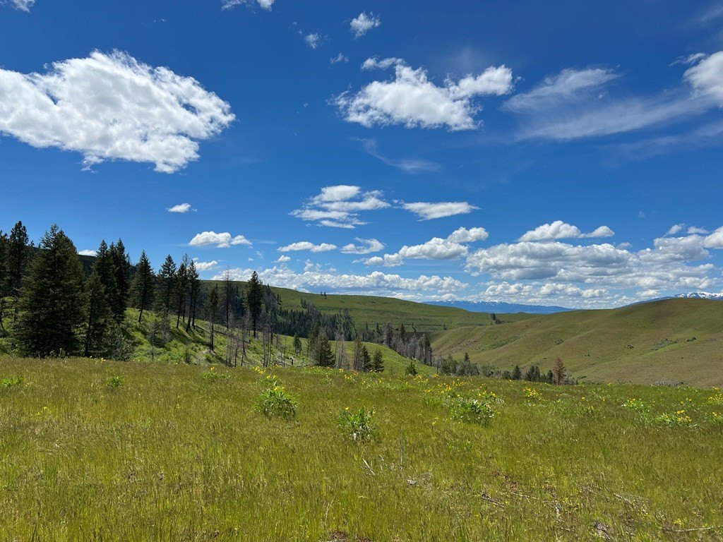Council, Idaho, 83612, United States, ,Residential,For Sale,1935833