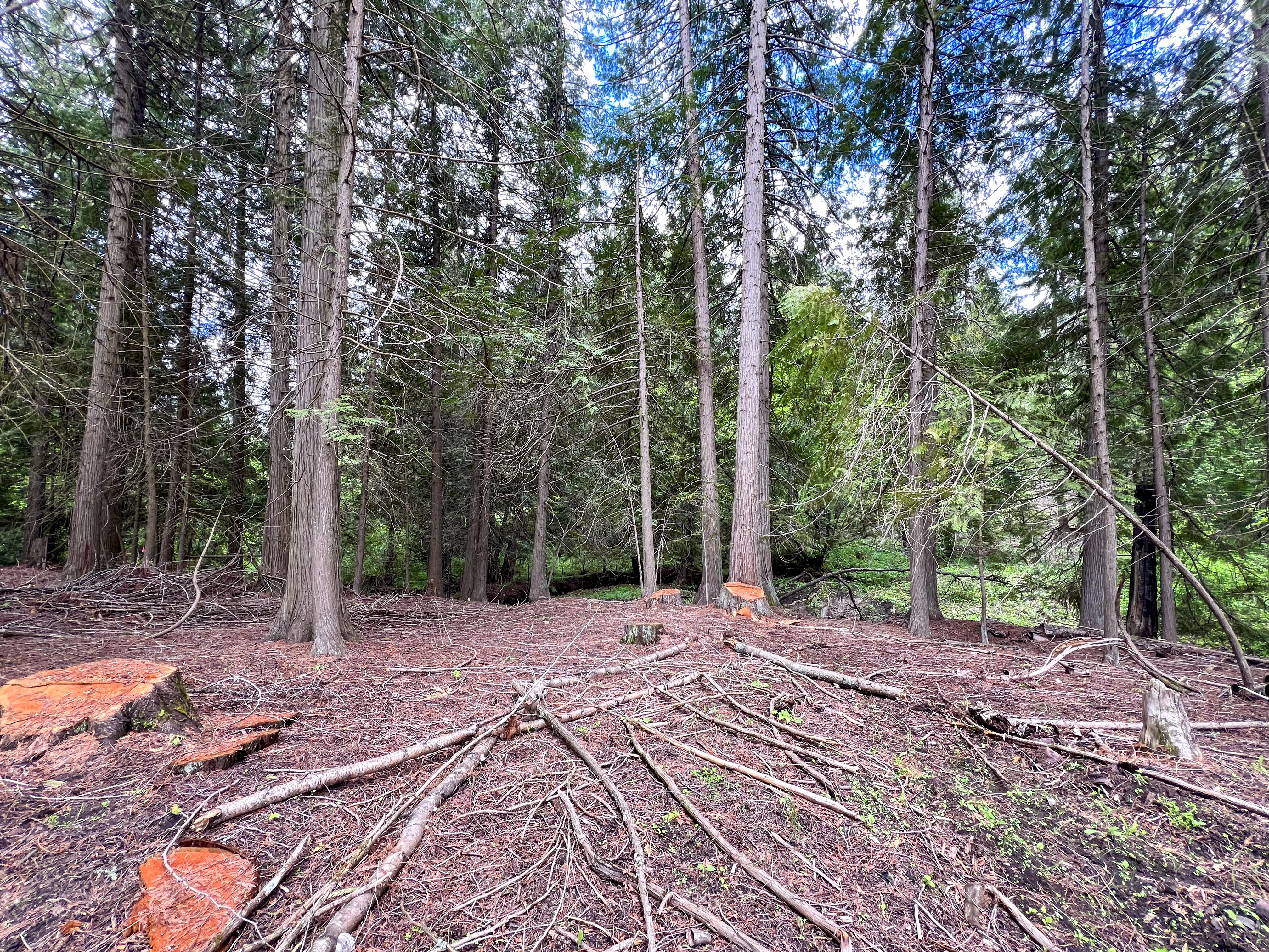 Kettle Falls, Washington, 99141, United States, 3 Bedrooms Bedrooms, ,2 BathroomsBathrooms,Residential,For Sale,1985709