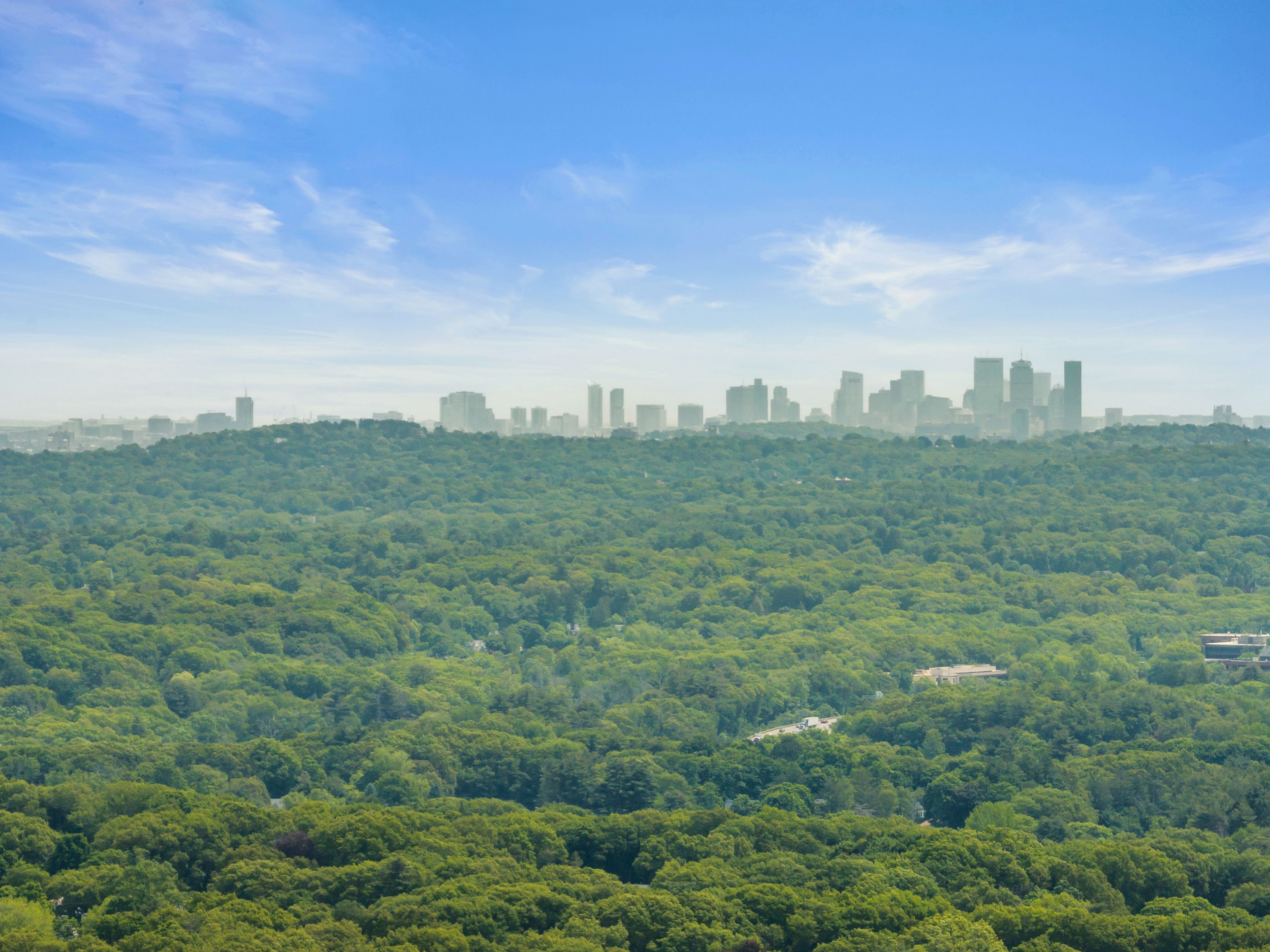  6 Wareland Road, Wellesley, MA, 02481 - 物件實景
