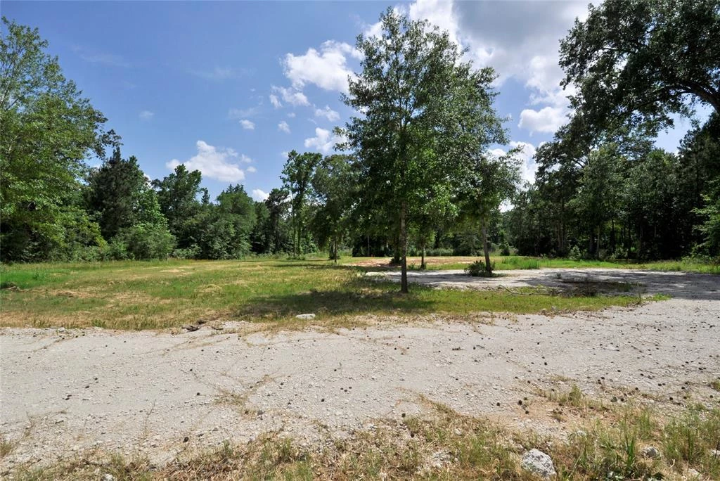 26150 Grand Pines Road, Magnolia, Texas, 77355, United States, ,Land,For Sale,26150 Grand Pines Road,1609479