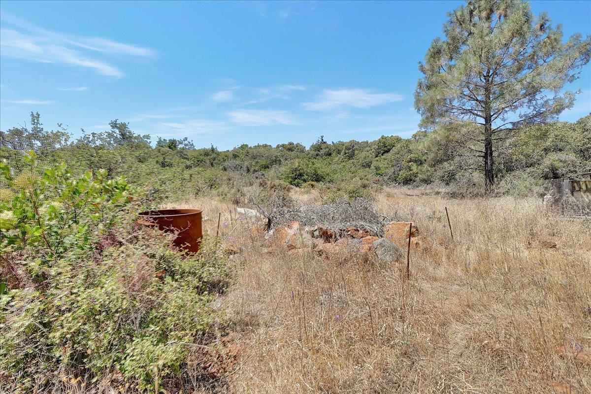 Oregon House, California, 95962, United States, ,Land,For Sale,1975767