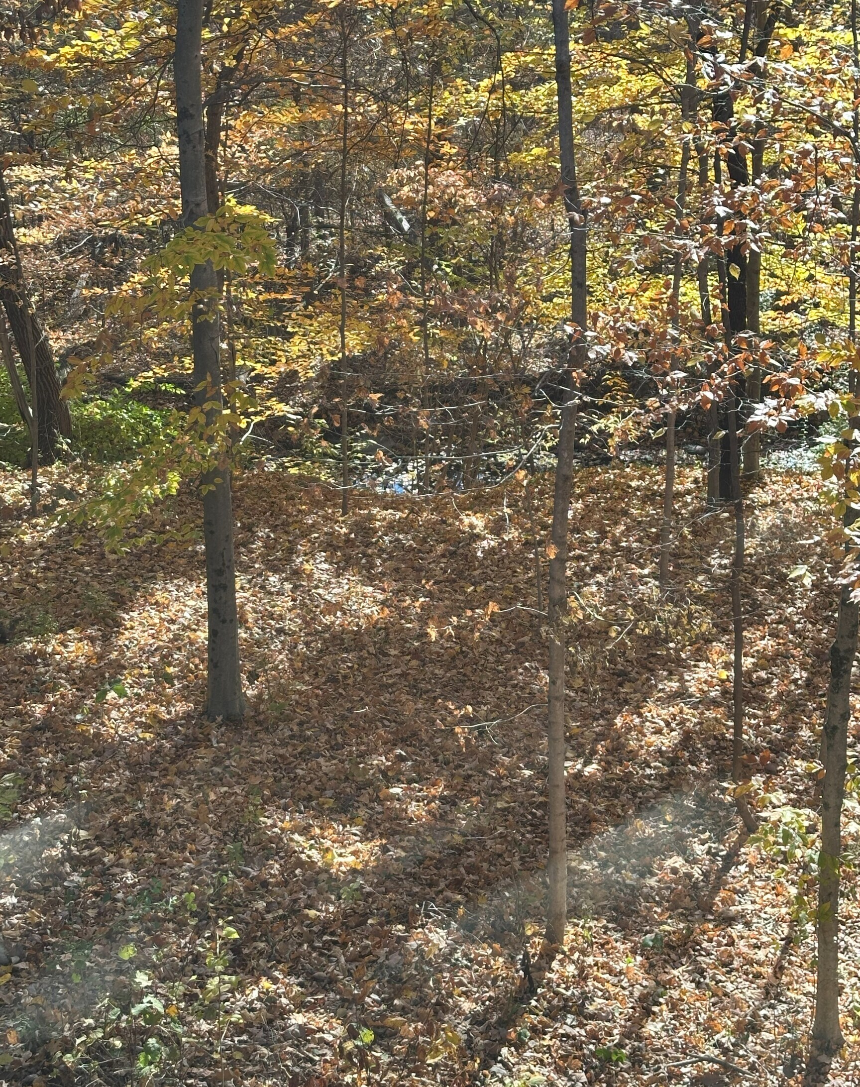 Fishers, Indiana, 46038, United States, 6 Bedrooms Bedrooms, ,4 BathroomsBathrooms,Residential,For Sale,1987782