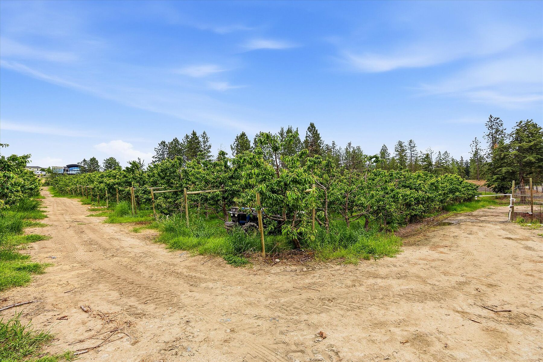  12.81 Acre Orchard - 物件實景