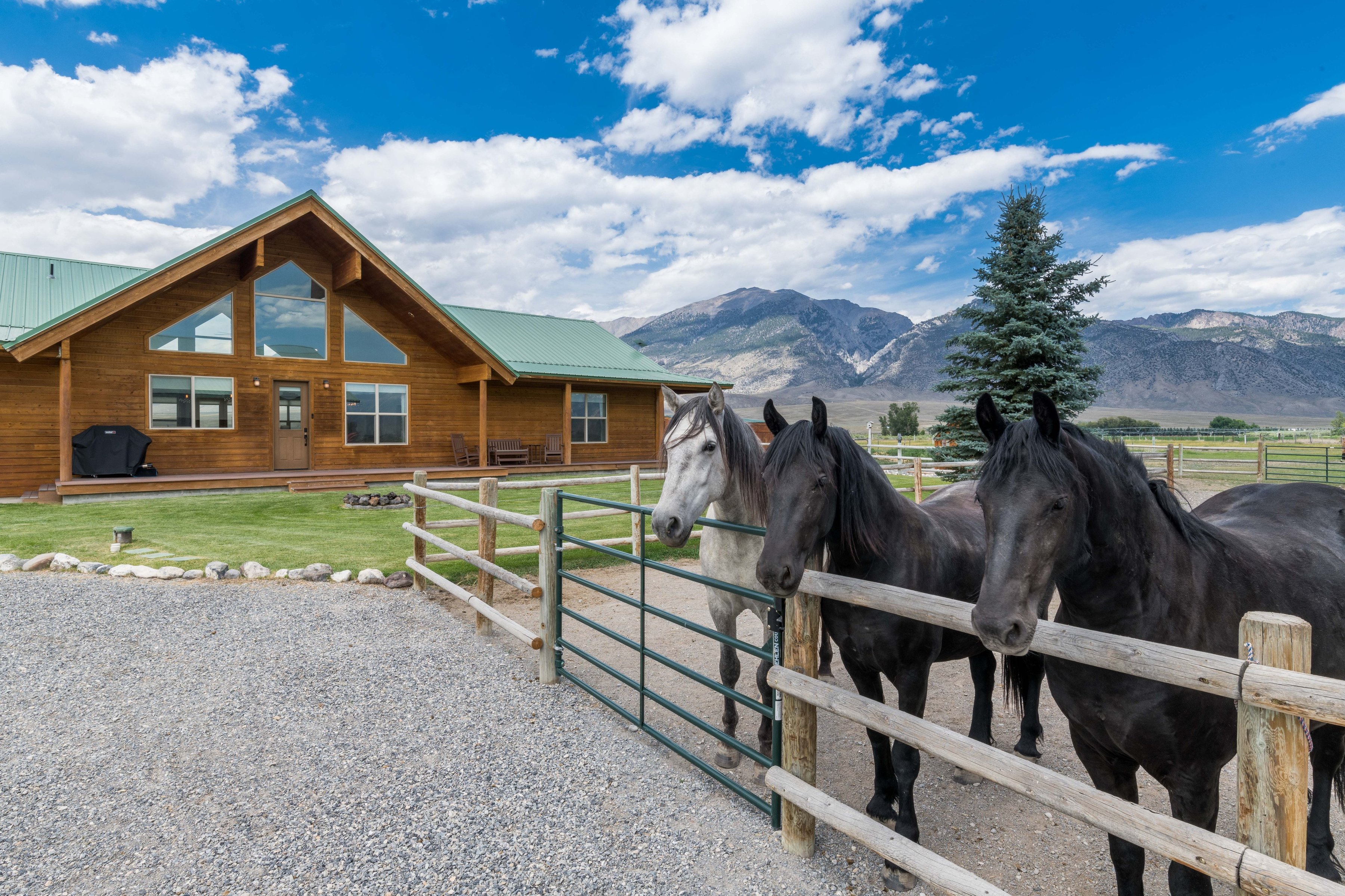  Equestrian Estate at the Base of Mt. Borah - 物件實景