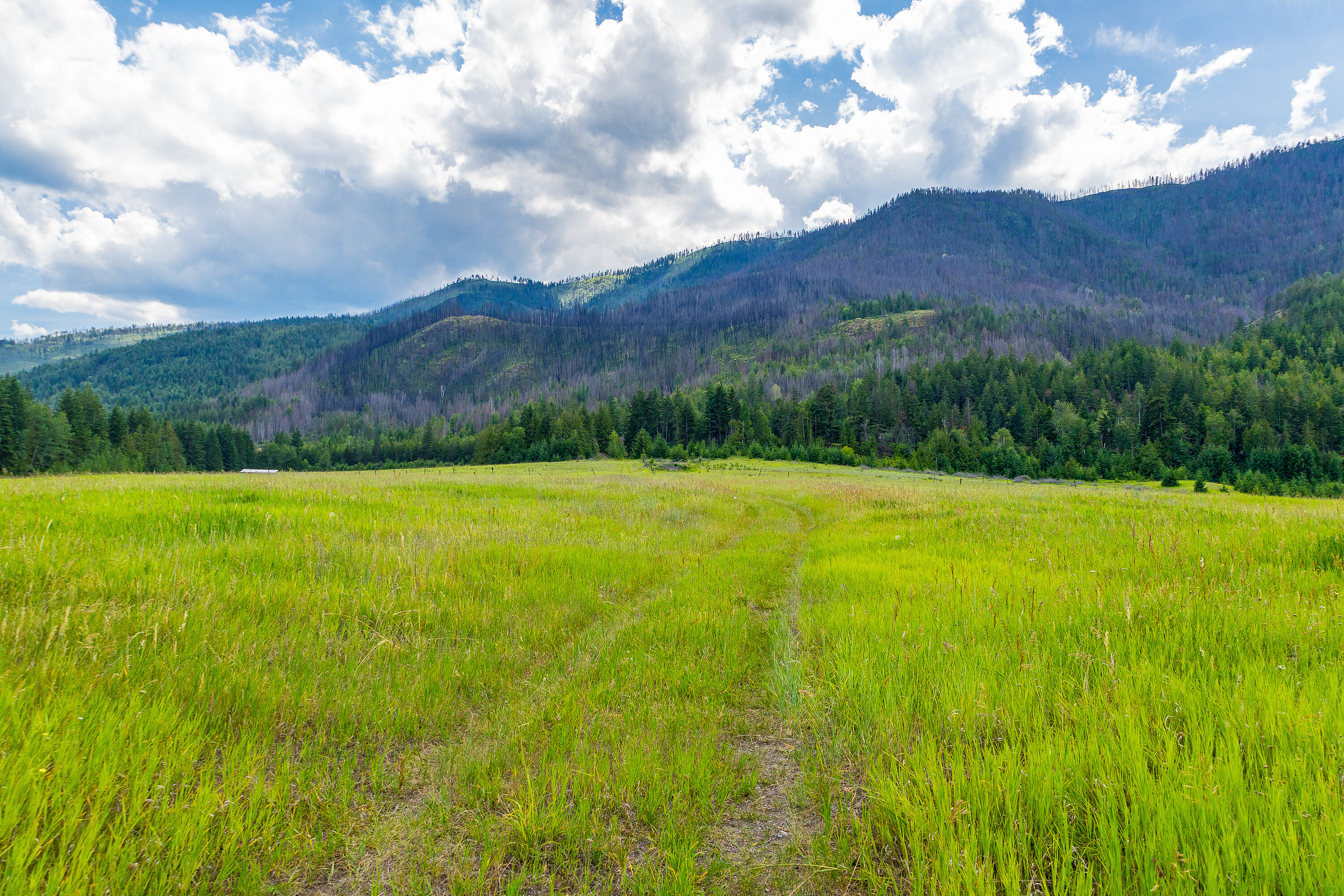  108.16 Acres Across 3 Titles - 物件實景