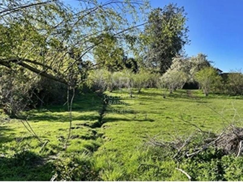 Frutillar, Chile, ,Residential,For Sale,1885462