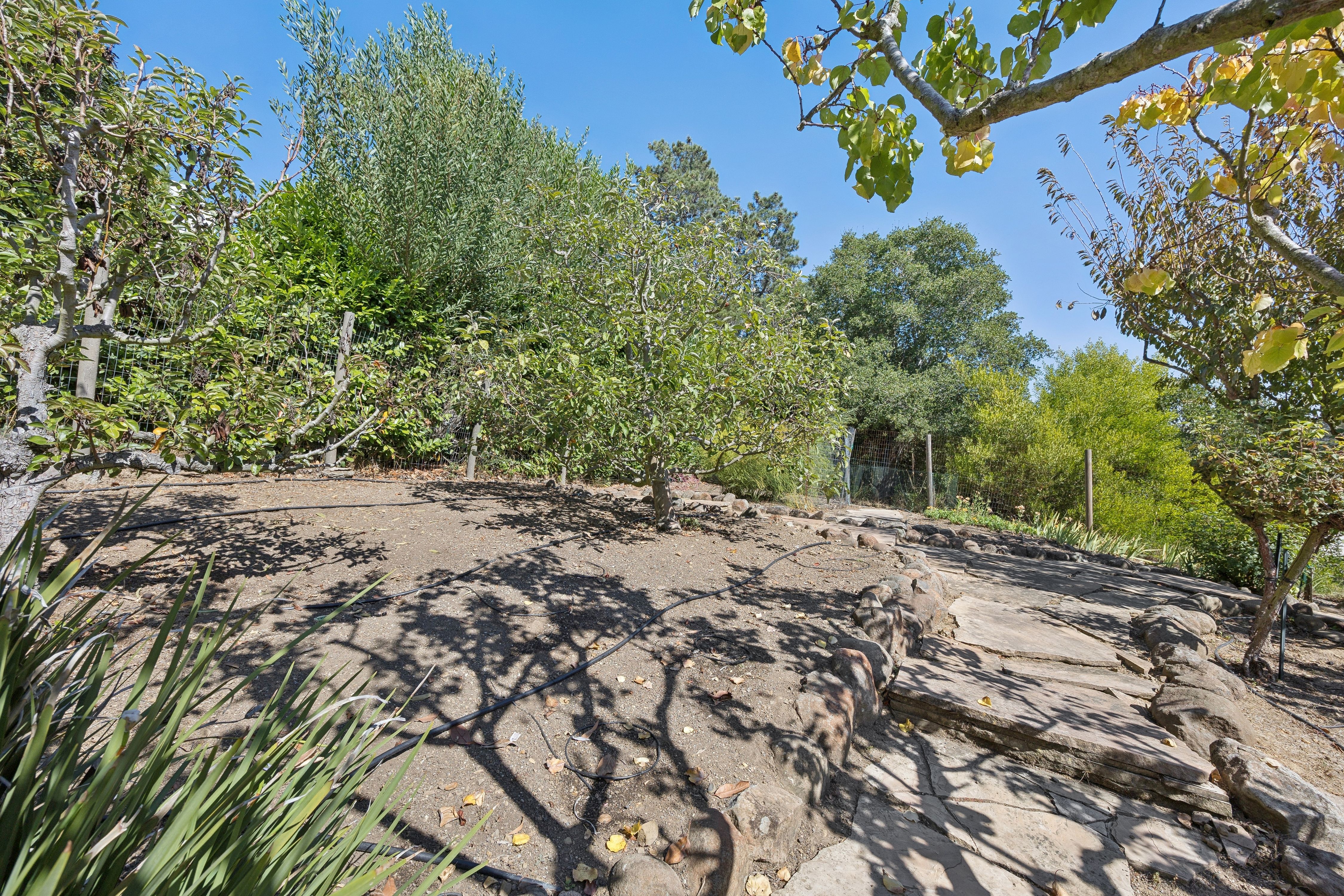  The Tiburon Home You Have Been Looking For - 物件實景