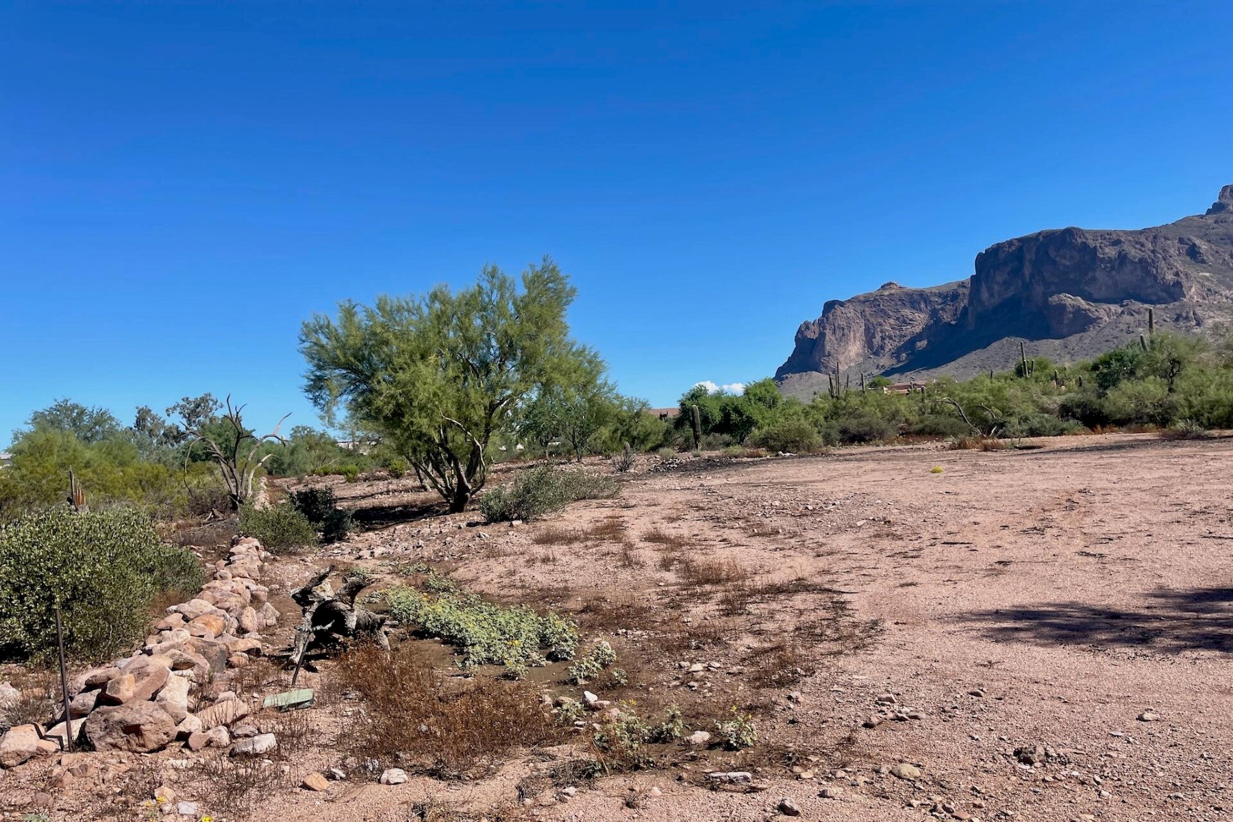  52 E Scenic (geronimo) Street¦Apache Junction, AZ - 物件實景