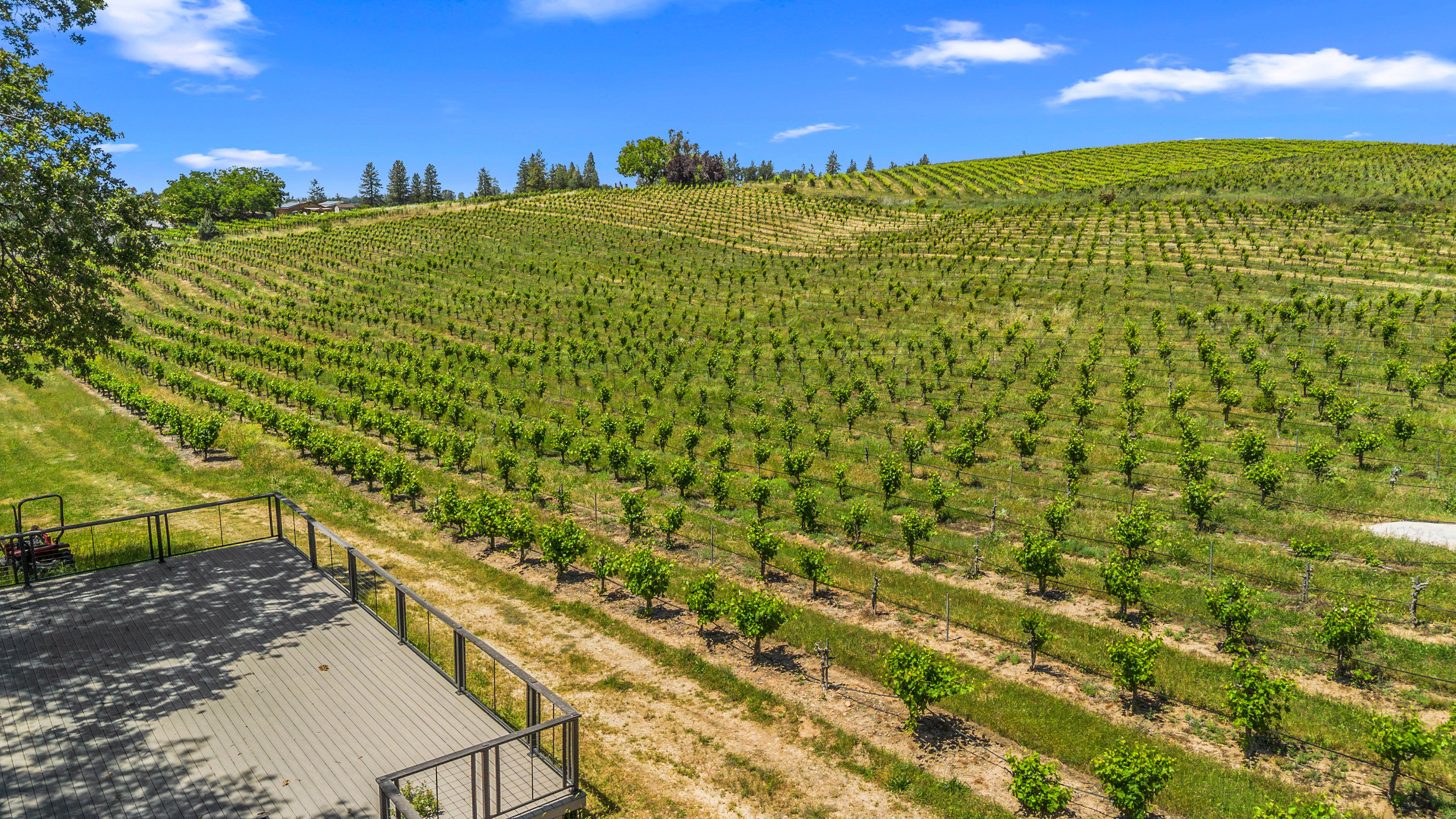  7401 Fairplay Road, Somerset, CA 95684 - 物件實景