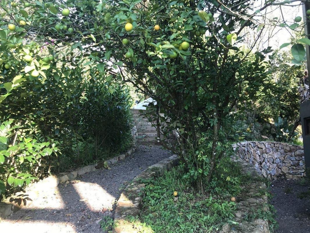 Valle de Bravo, Estado de México, 51200, Mexico, 3 Bedrooms Bedrooms, ,3 BathroomsBathrooms,Residential,For Sale,1738879