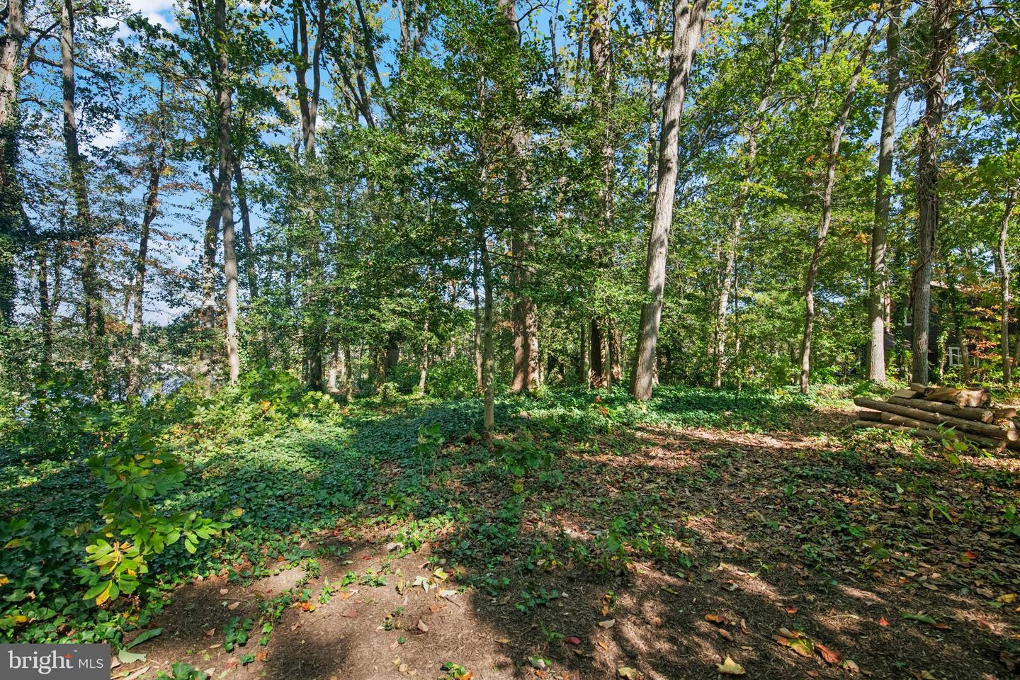 Arnold, Maryland, 21012, United States, ,Land,For Sale,1988934