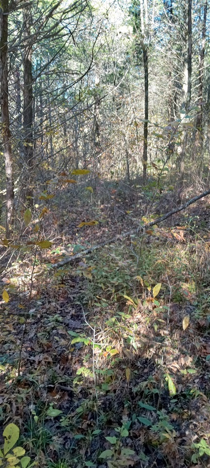 Willow Shade, Kentucky, 42166, United States, 3 Bedrooms Bedrooms, ,2 BathroomsBathrooms,Residential,For Sale,1991903