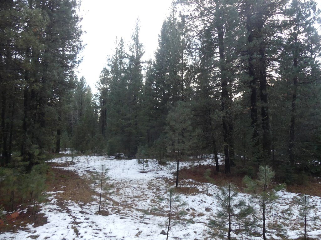 New Meadows, Idaho, 83654, United States, ,Land,For Sale,2005639
