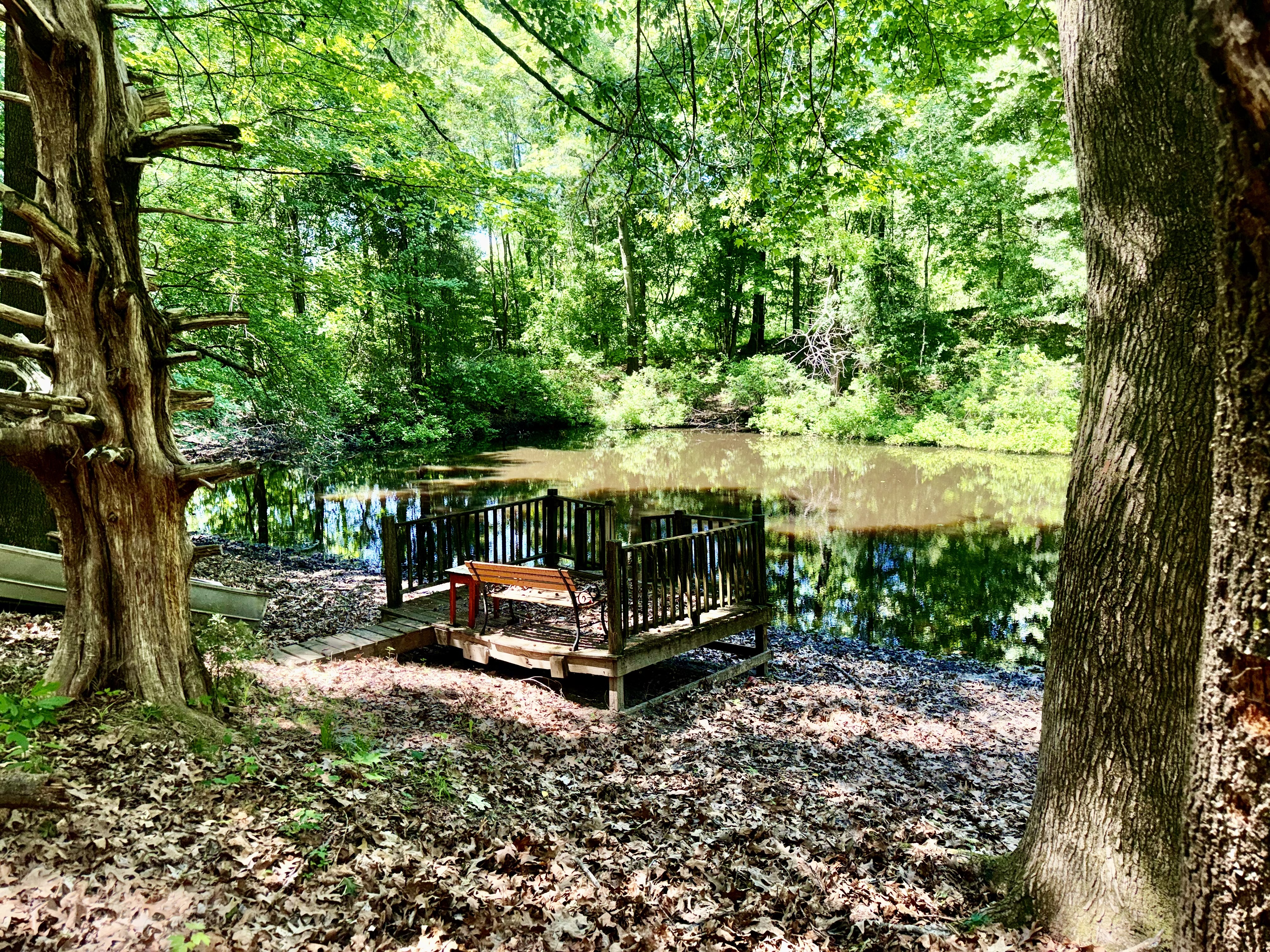 Rives, Tennessee, 38253, United States, 3 Bedrooms Bedrooms, ,2 BathroomsBathrooms,Residential,For Sale,2031987