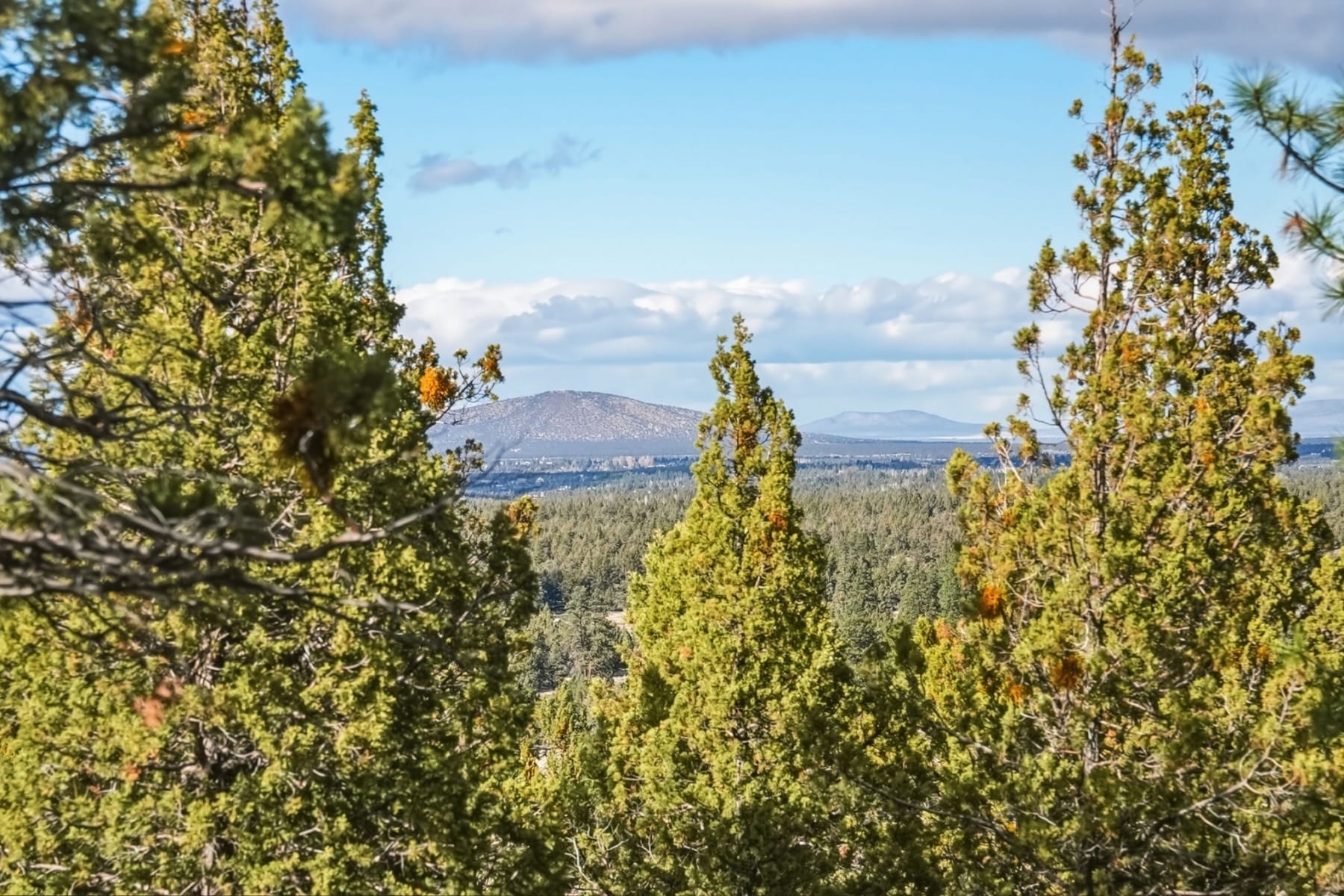  1560 NW Wild Rye Circle Bend, OR 97703 - 物件實景