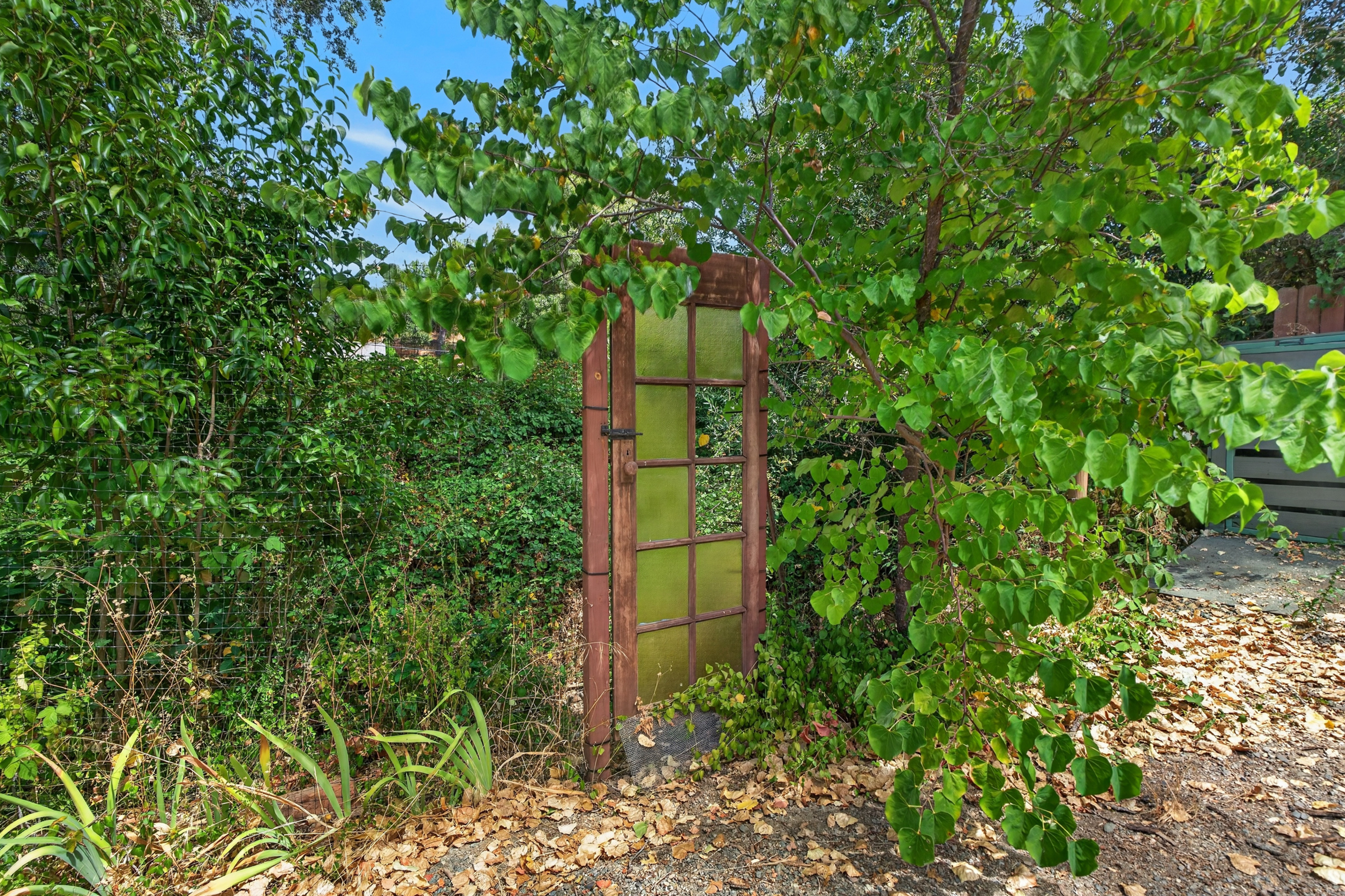  14467 Fiddletown Road, Fiddletown, CA 95629 - 物件實景