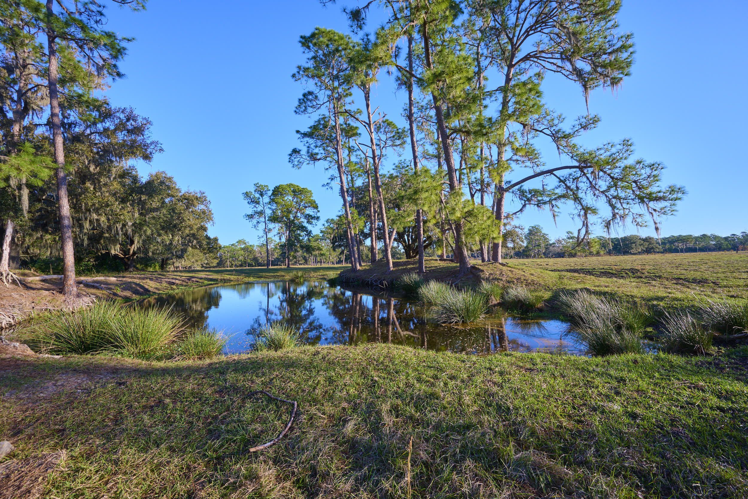 BARTOW, Florida, 33830, United States, 3 Bedrooms Bedrooms, ,2 BathroomsBathrooms,Residential,For Sale,1915491