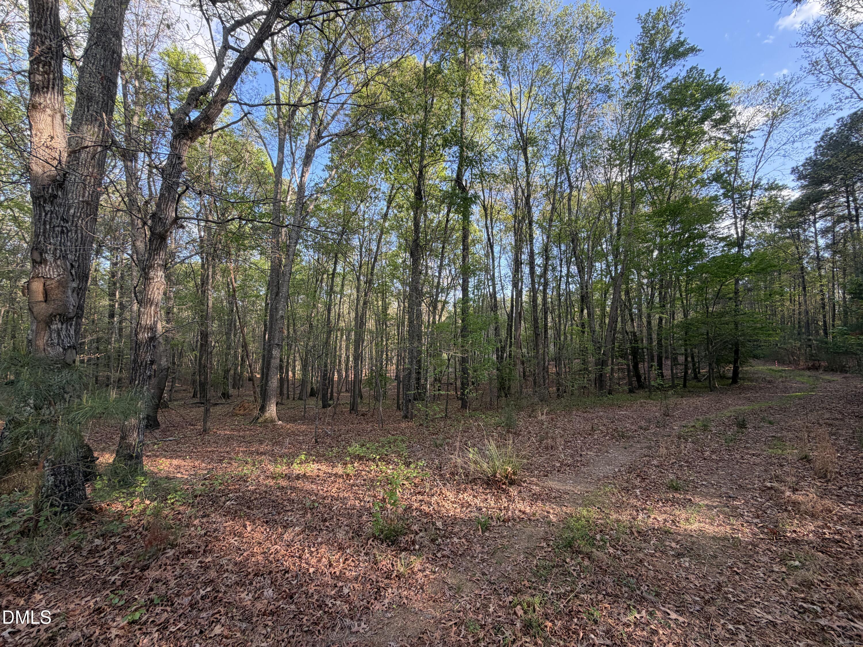 Holly Springs, North Carolina, 27540, United States, ,Land,For Sale,2042355