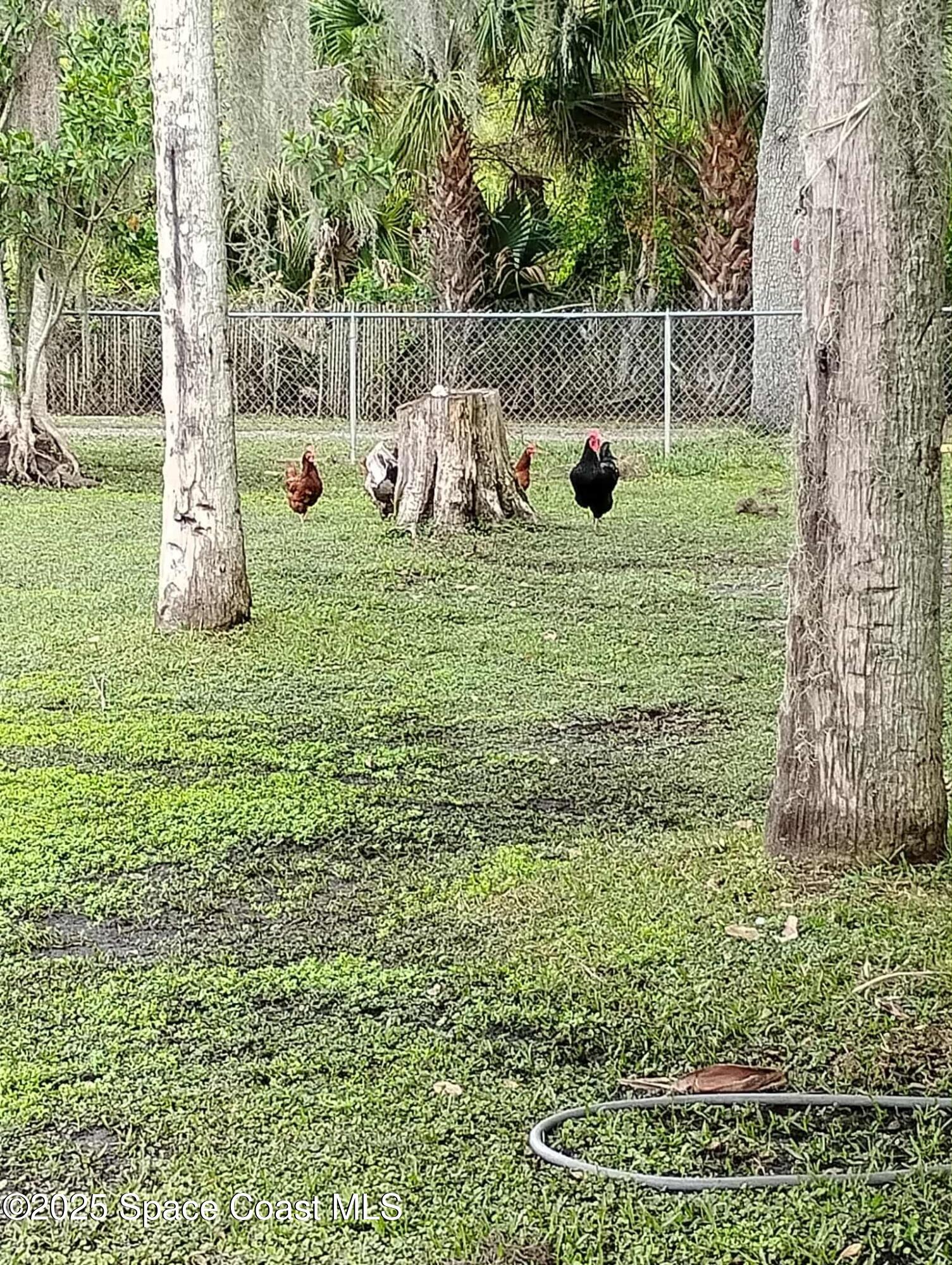 Merritt Island, Florida, 32953, United States, 4 Bedrooms Bedrooms, ,2 BathroomsBathrooms,Residential,For Sale,1991244