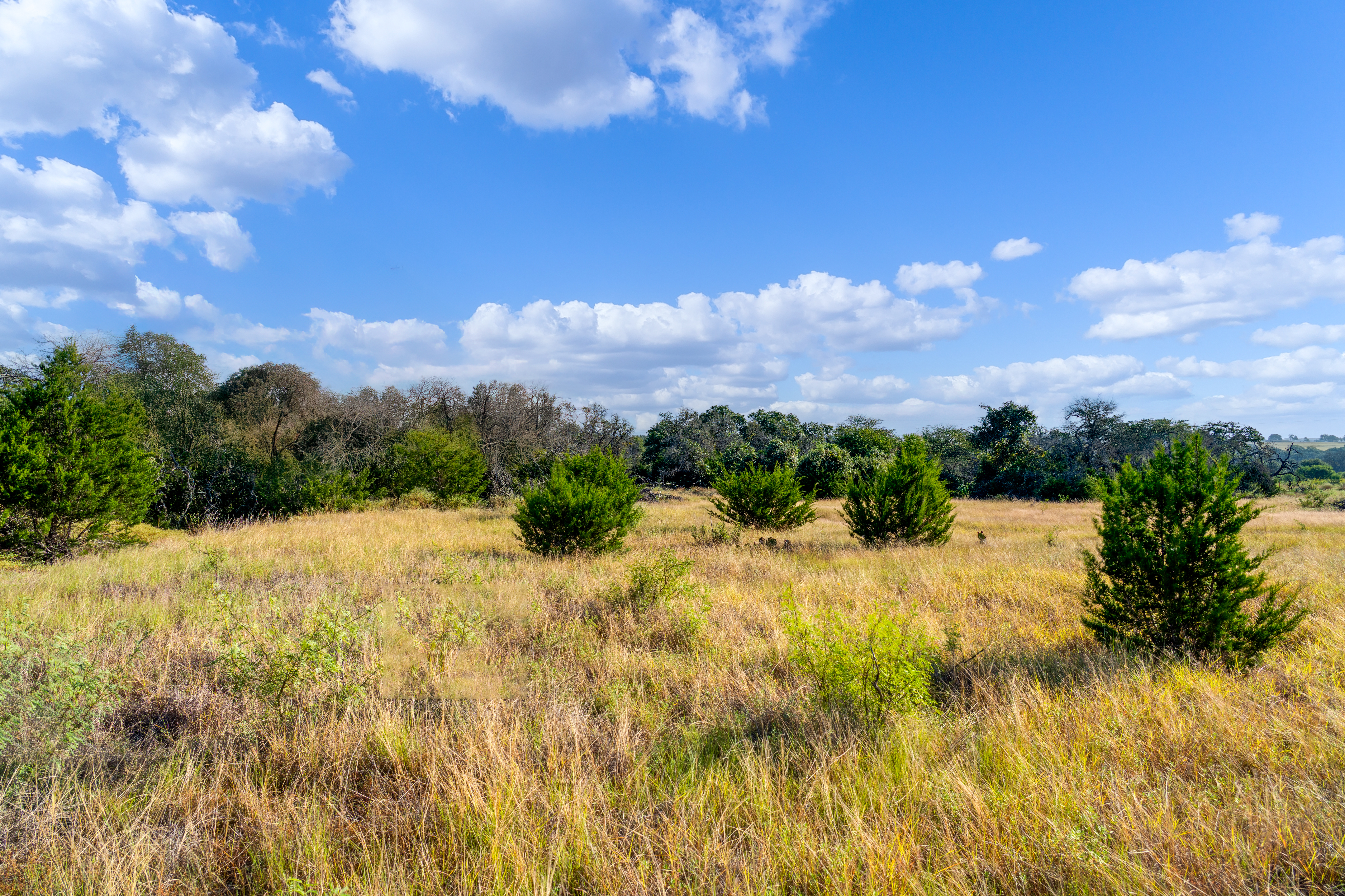  7994 W U.S. Highway 290, Johnson City, TX 78636 - 物件實景