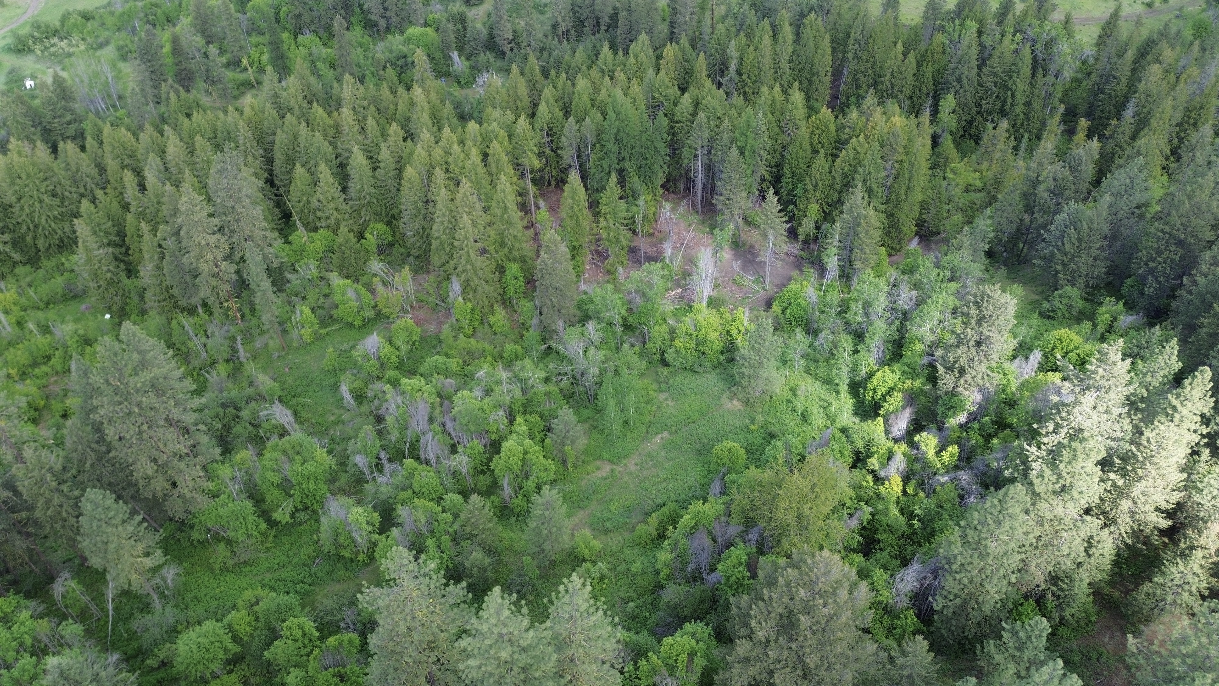 Kettle Falls, Washington, 99141, United States, 3 Bedrooms Bedrooms, ,2 BathroomsBathrooms,Residential,For Sale,1985709