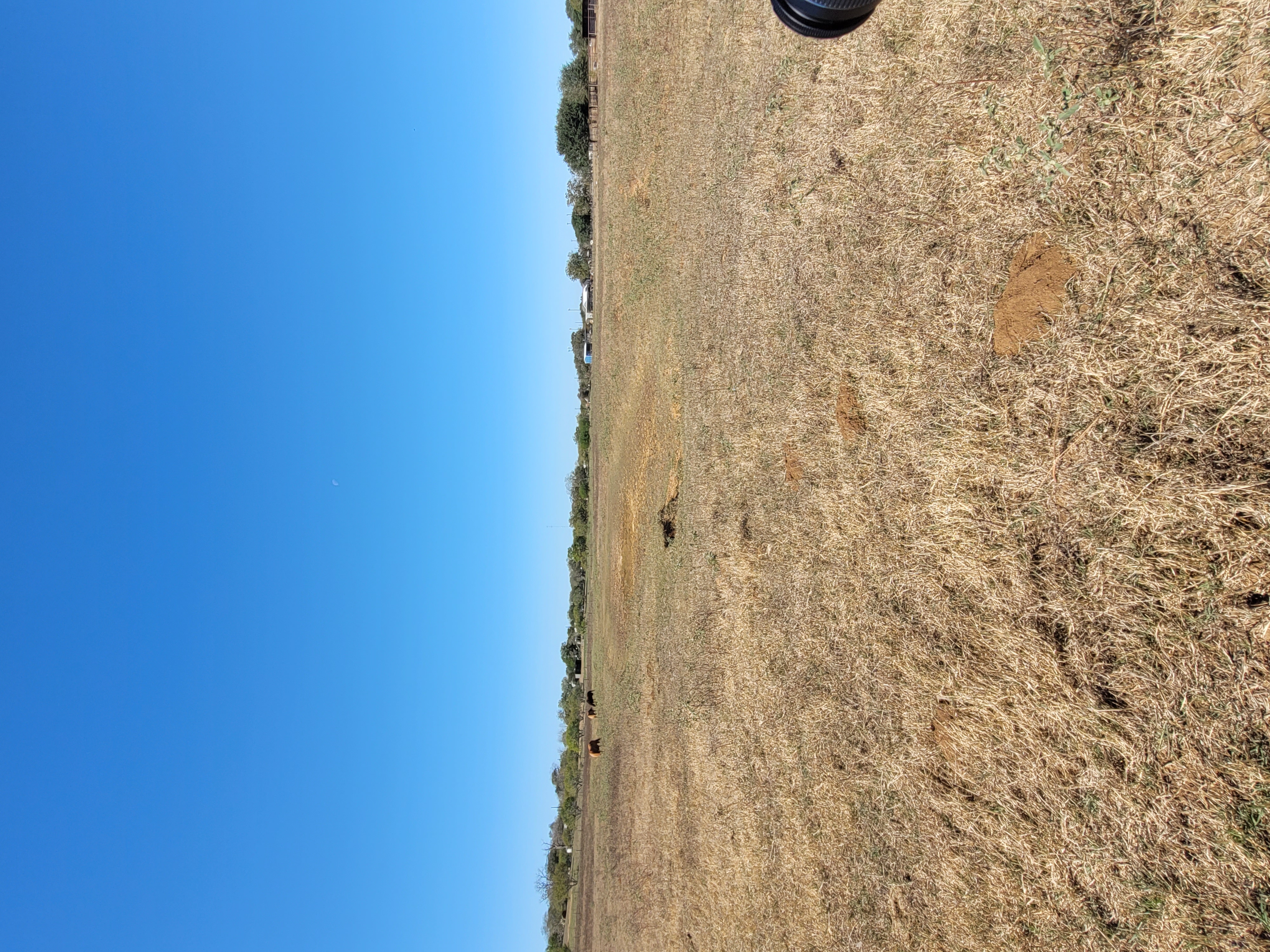 Stockdale, Texas, 78160, United States, 2 Bedrooms Bedrooms, ,1 BathroomBathrooms,Residential,For Sale,1990208