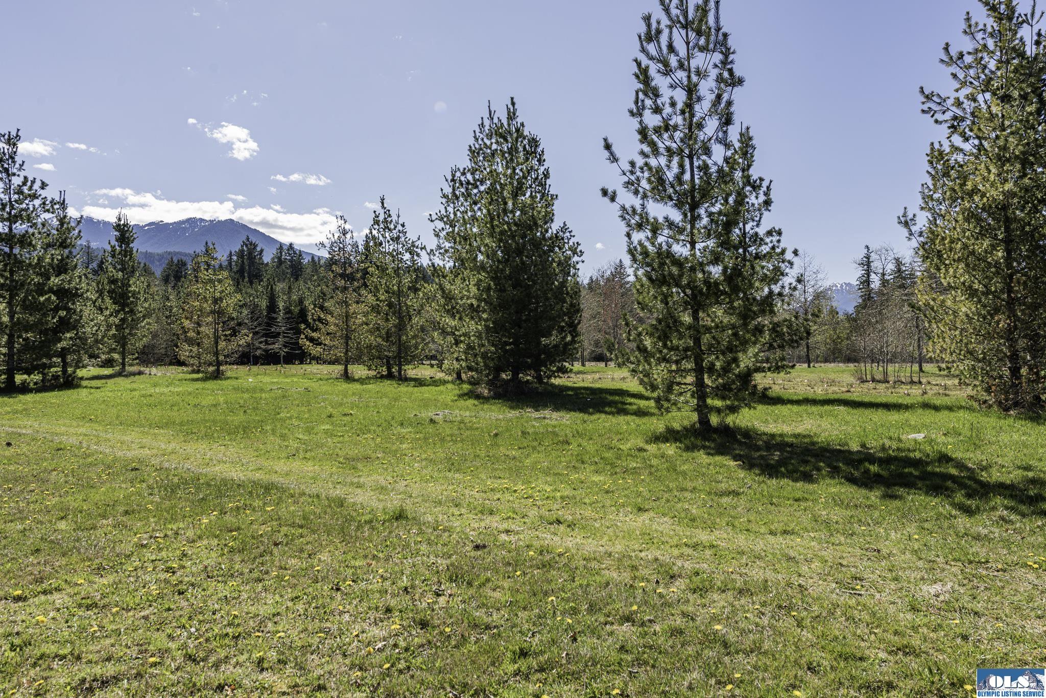 Sequim, Washington, 98382, United States, ,Land,For Sale,1787569
