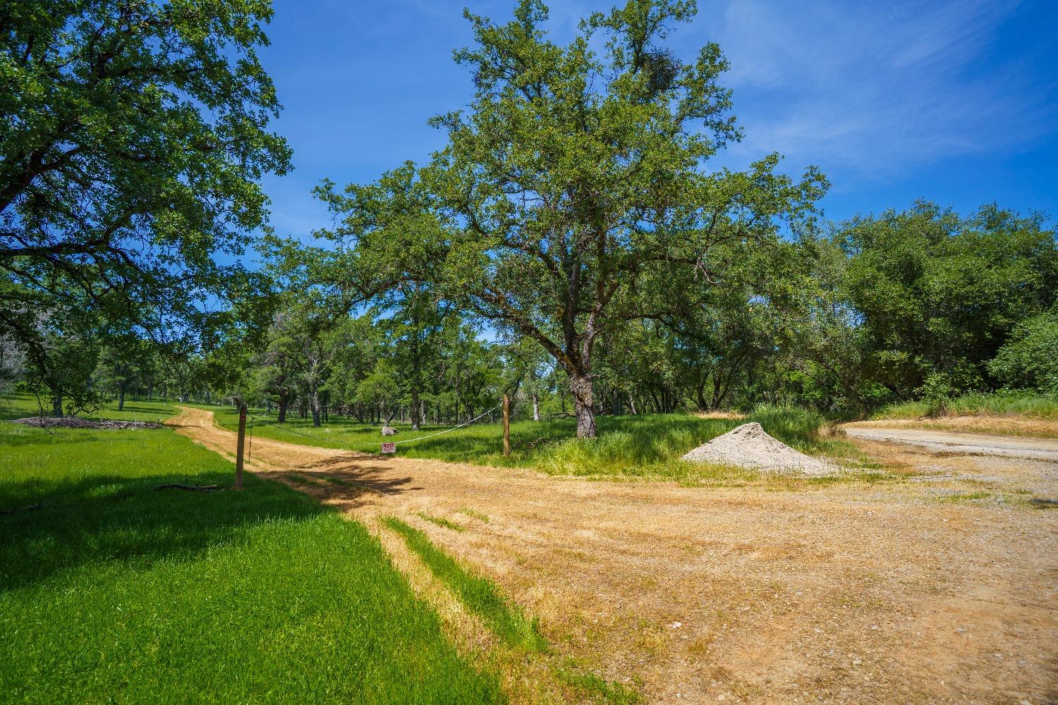 Lincoln, California, 95648, United States, ,Land,For Sale,1784125