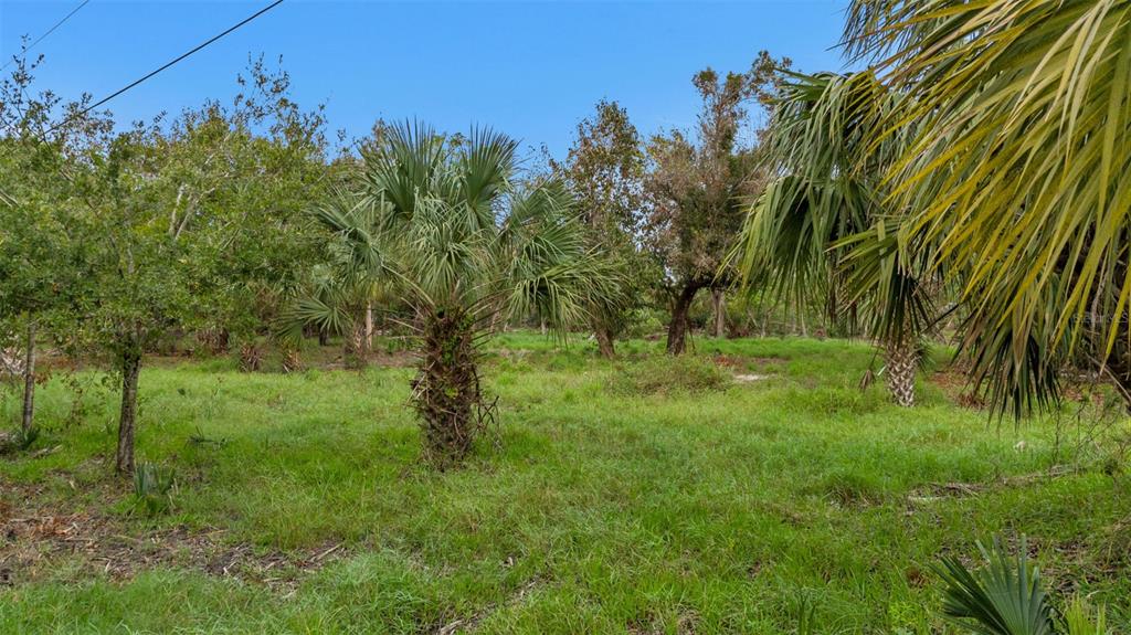 Punta Gorda, Florida, 33950, United States, ,Land,For Sale,1714324