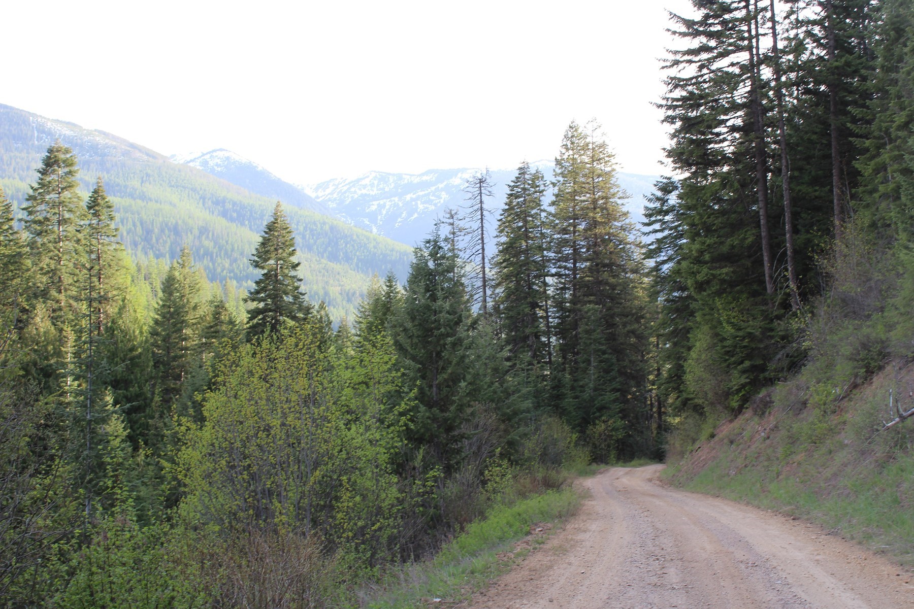  19a Daisy Gulch Road - 物件實景