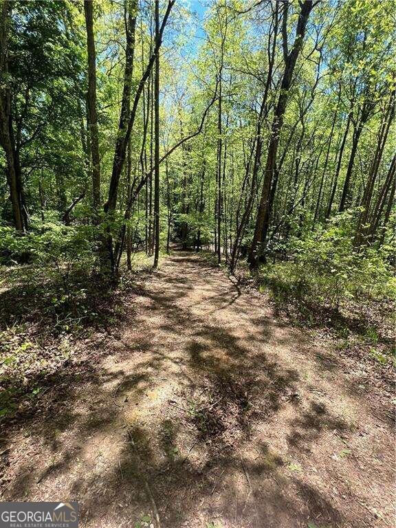 Waleska, Georgia, 30183, United States, ,Land,For Sale,1929807