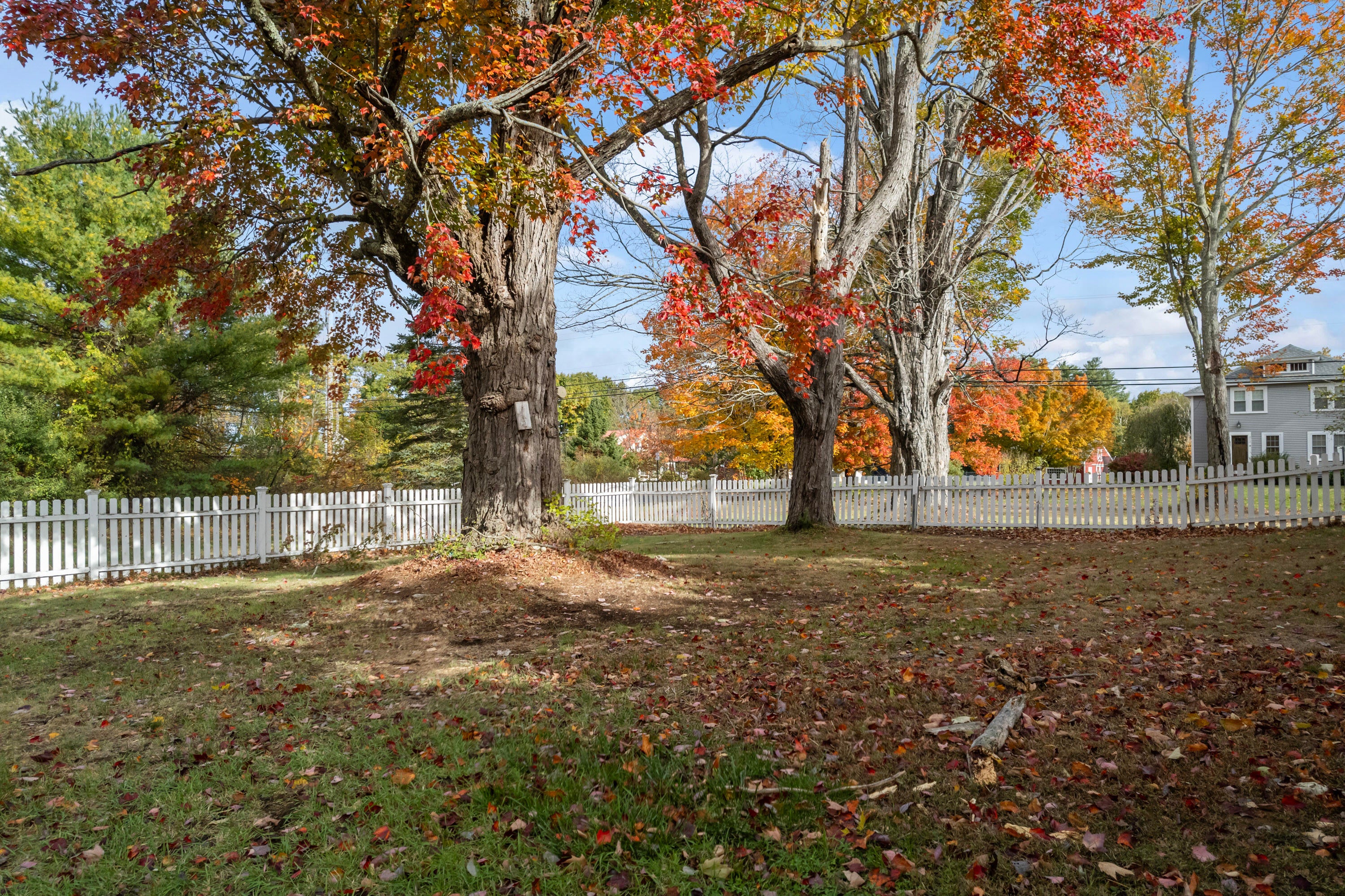 North Berwick, Maine, 03906, United States, 4 Bedrooms Bedrooms, ,2 BathroomsBathrooms,Residential,For Sale,1921414