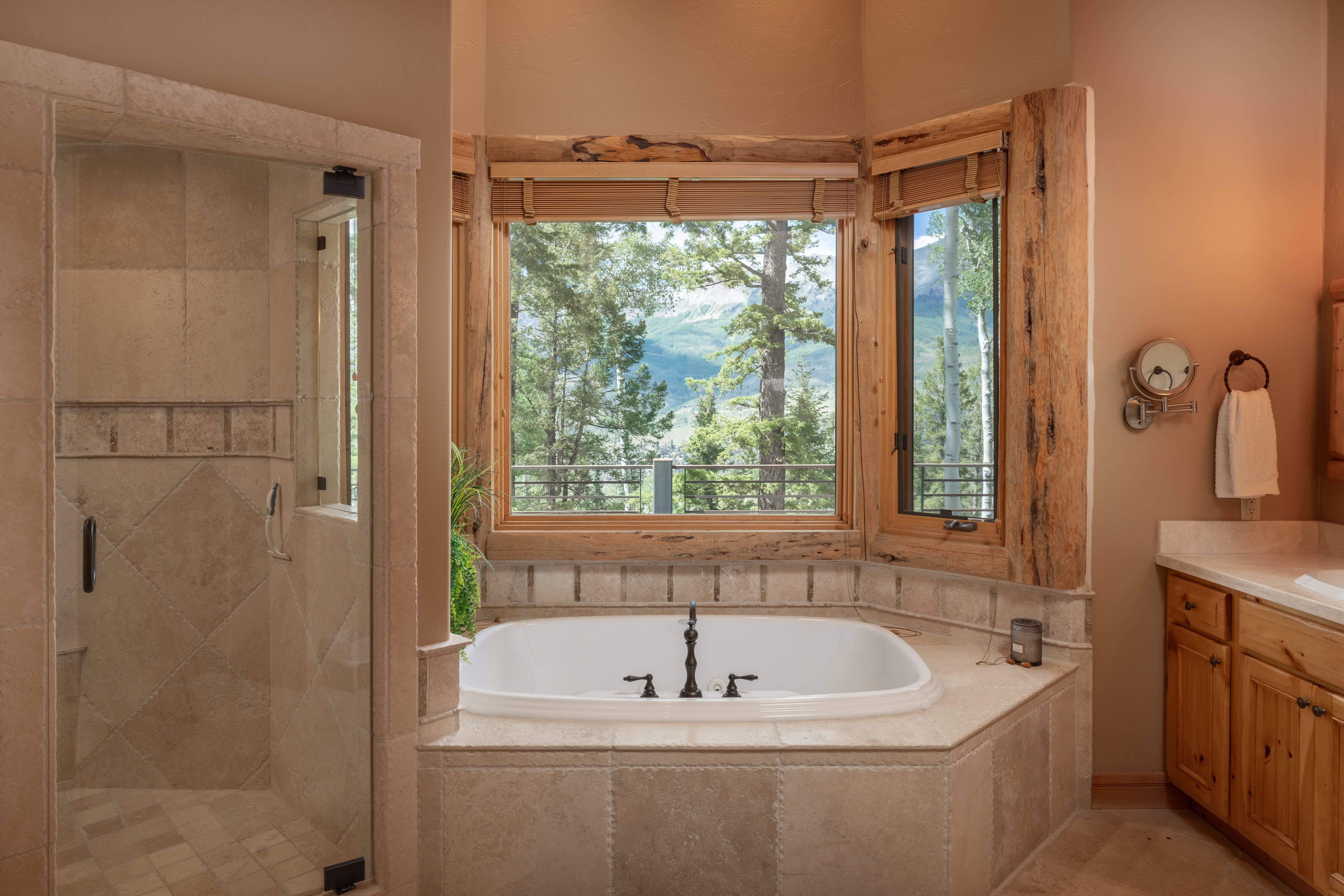  Private Telluride Retreat in Mountain Village - 物件實景