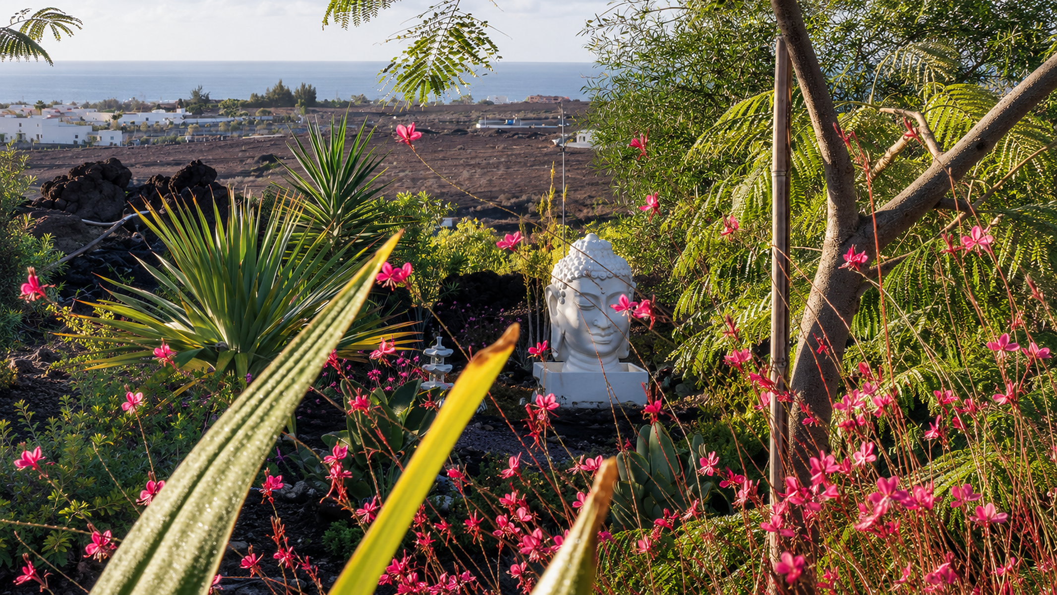  Retirement and Wellness Property in Tarajalejo, Fuerteventura - 物件實景