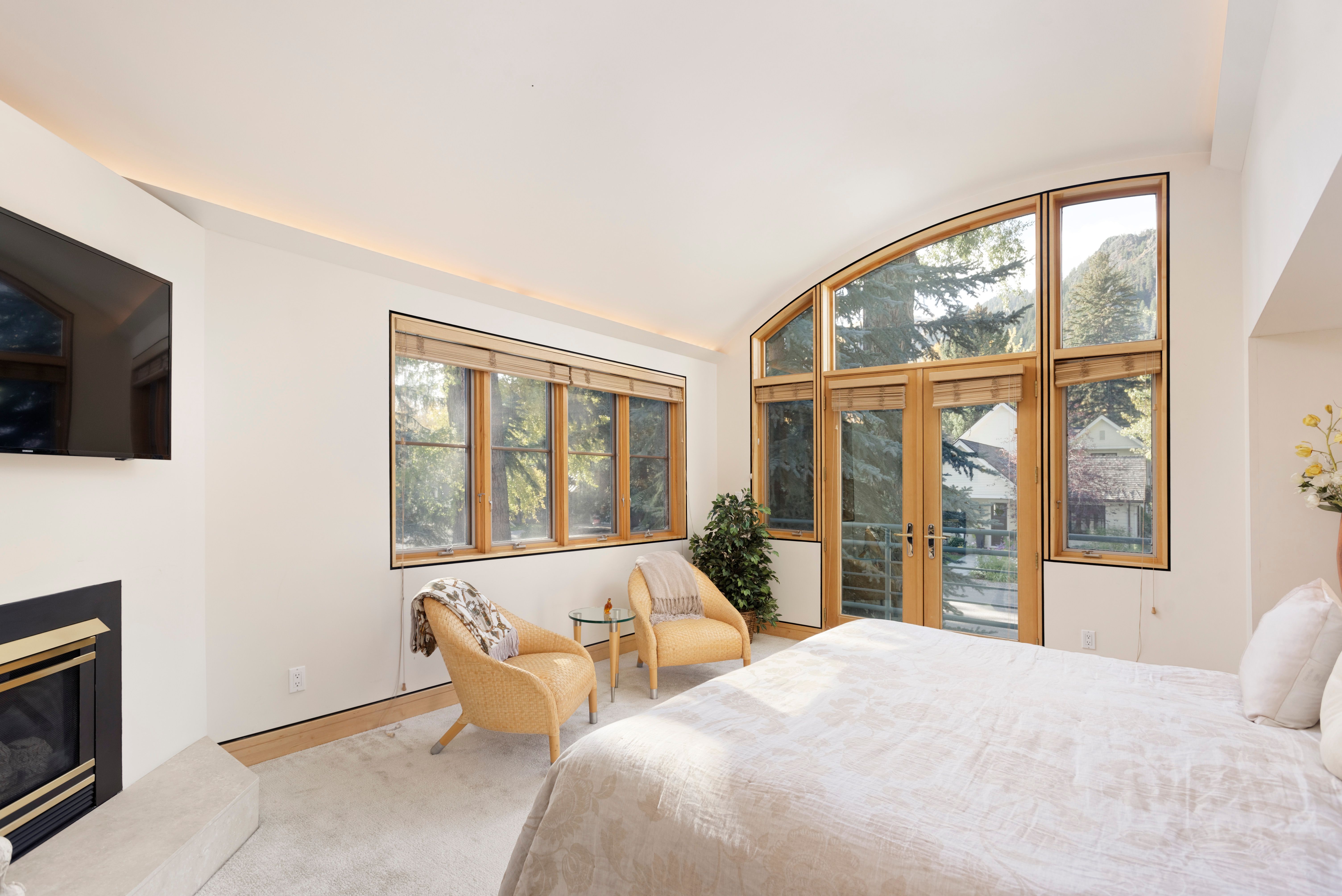  530 West Francis Street, Aspen, CO 81611 - 物件實景