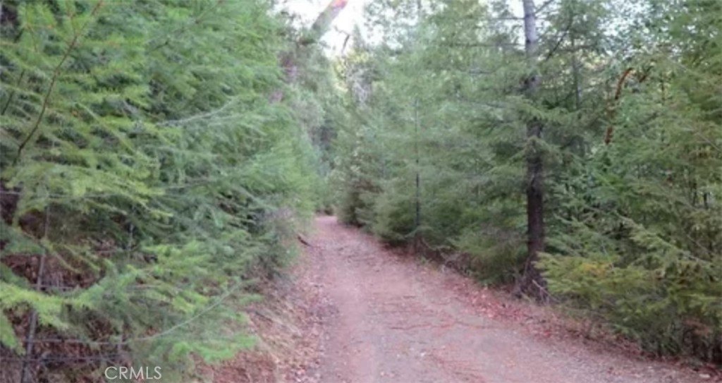 Covelo, California, 95428, United States, ,Residential,For Sale,1757967