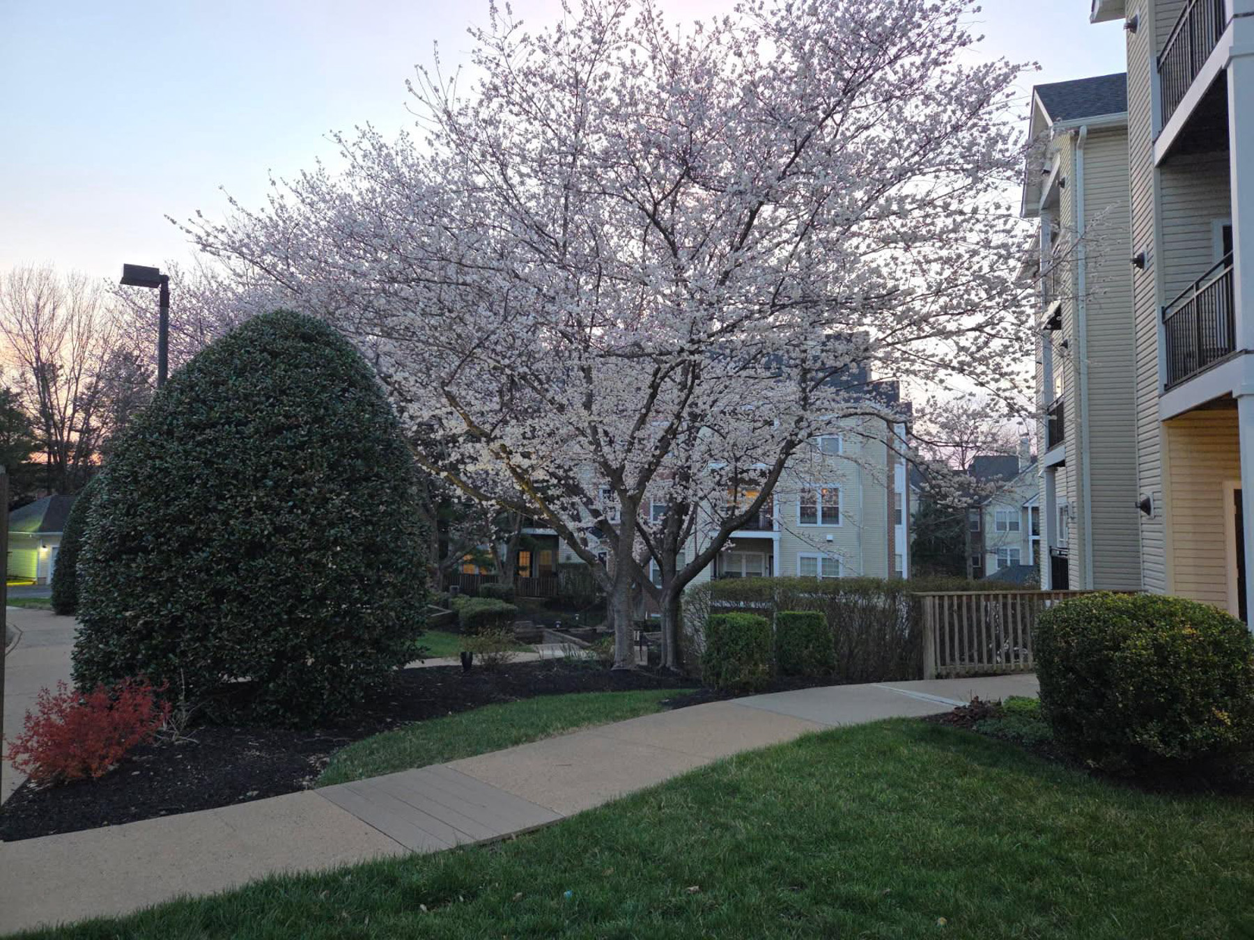  4135 Fountainside Lane, Fairfax, VA 22030 - 物件實景