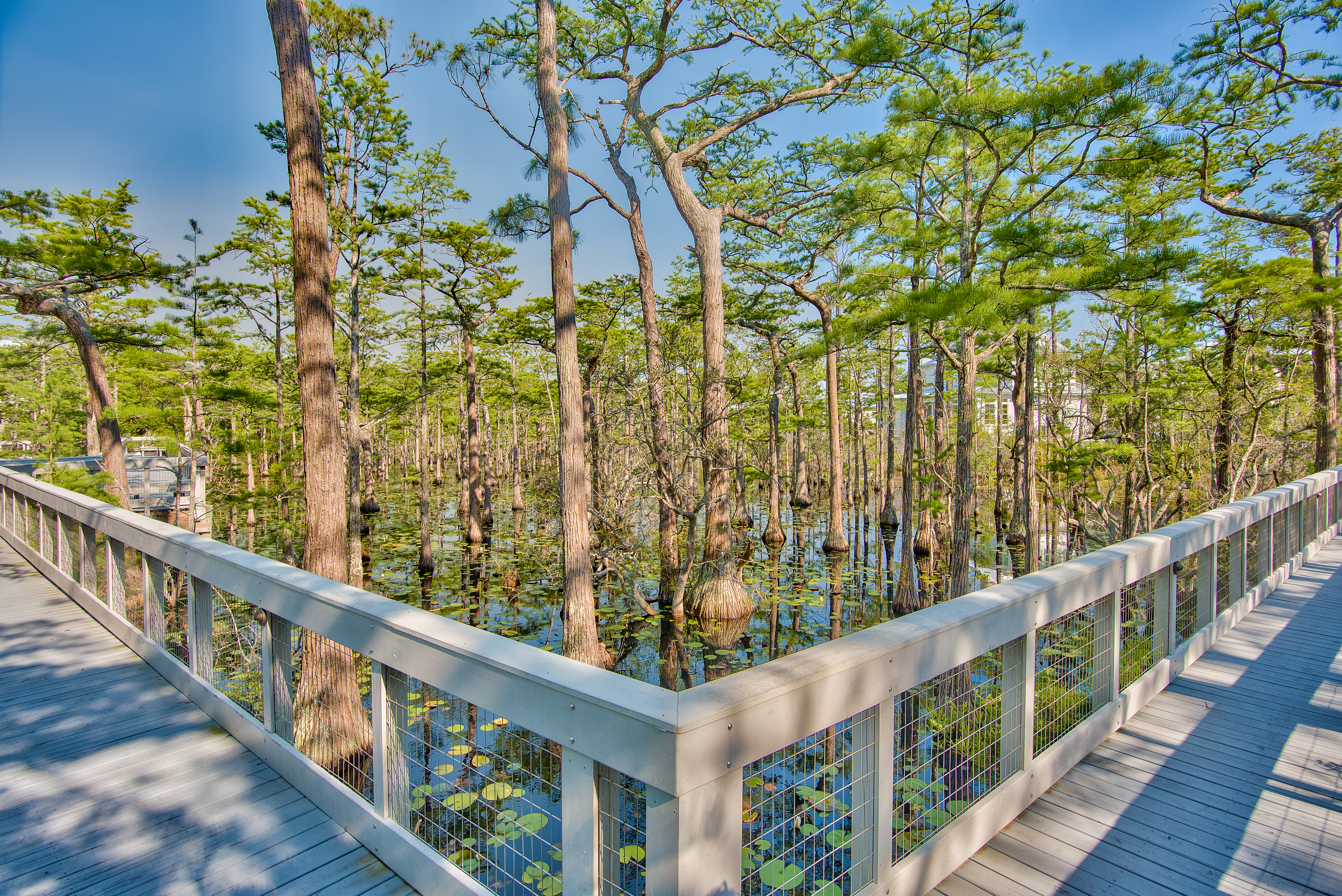  Build Your Coastal Retreat in Gated 30ACommunity without Build-Out Time - 物件實景