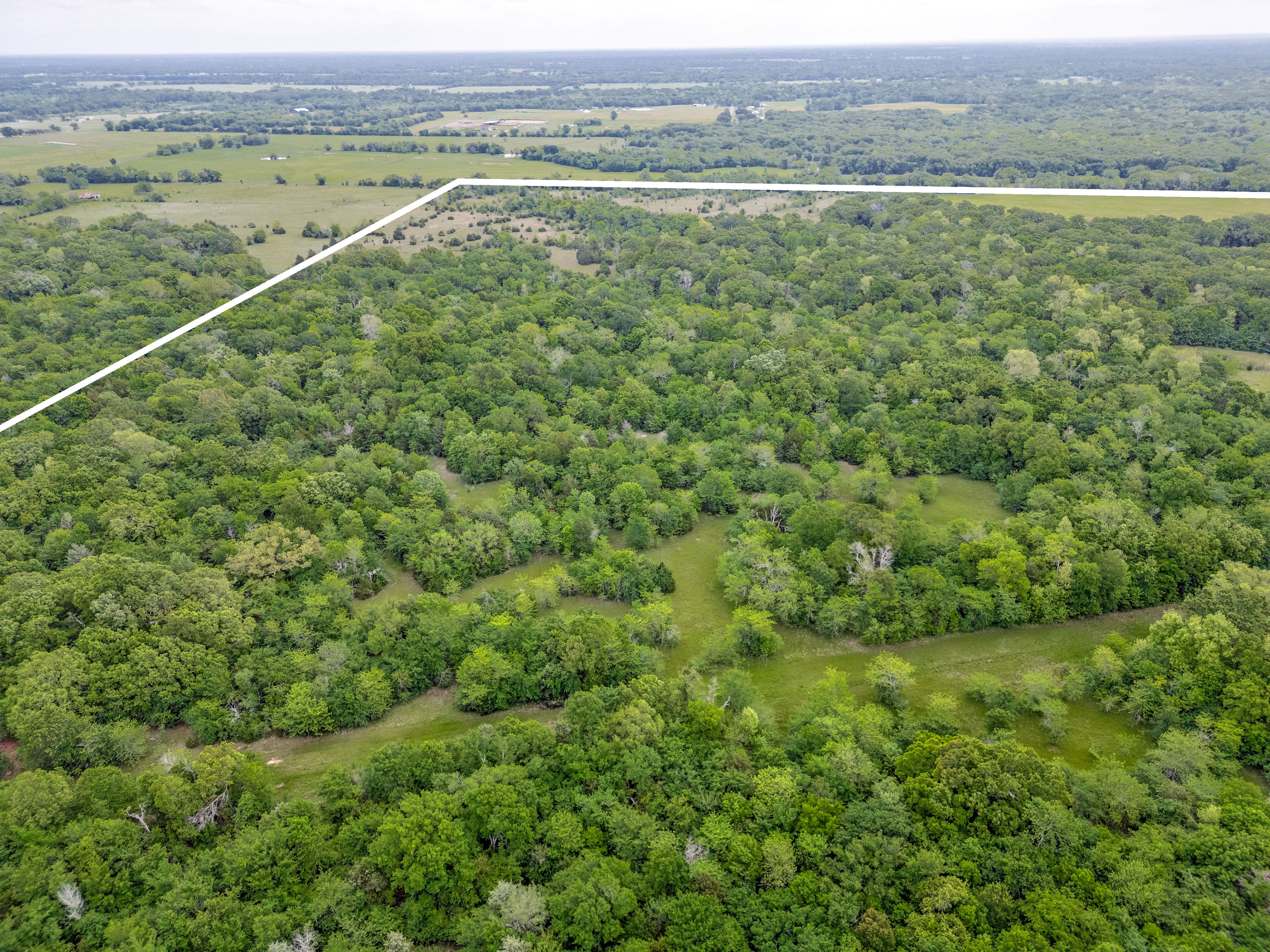  78 Acres in Sulphur Springs - 物件實景