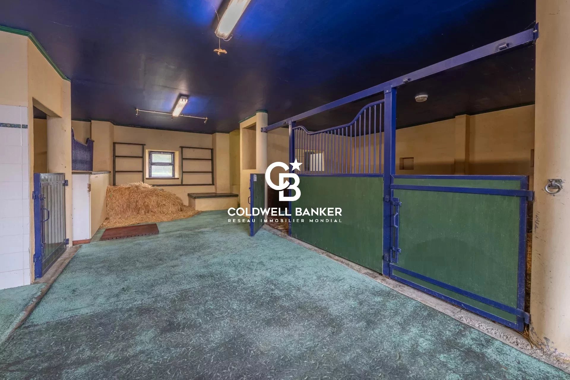 Évires, Auvergne-Rhône-Alpes, 74570, FR, 4 Bedrooms Bedrooms, ,6 BathroomsBathrooms,Residential,For Sale,1994521