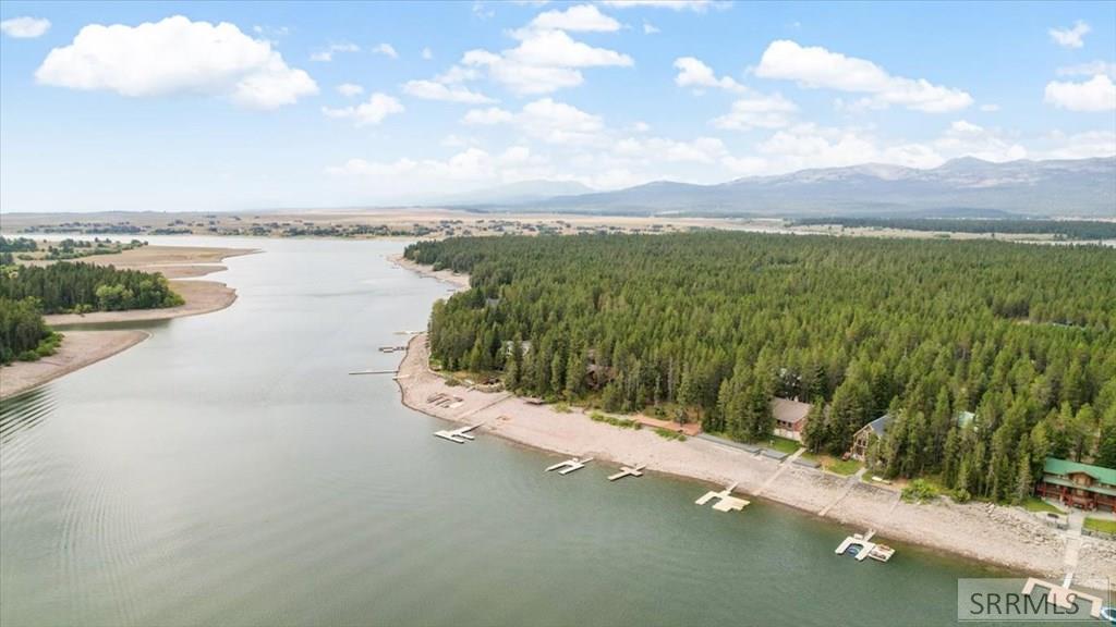 ISLAND PARK, Idaho, 83429, United States, 5 Bedrooms Bedrooms, ,5 BathroomsBathrooms,Residential,For Sale,1980298