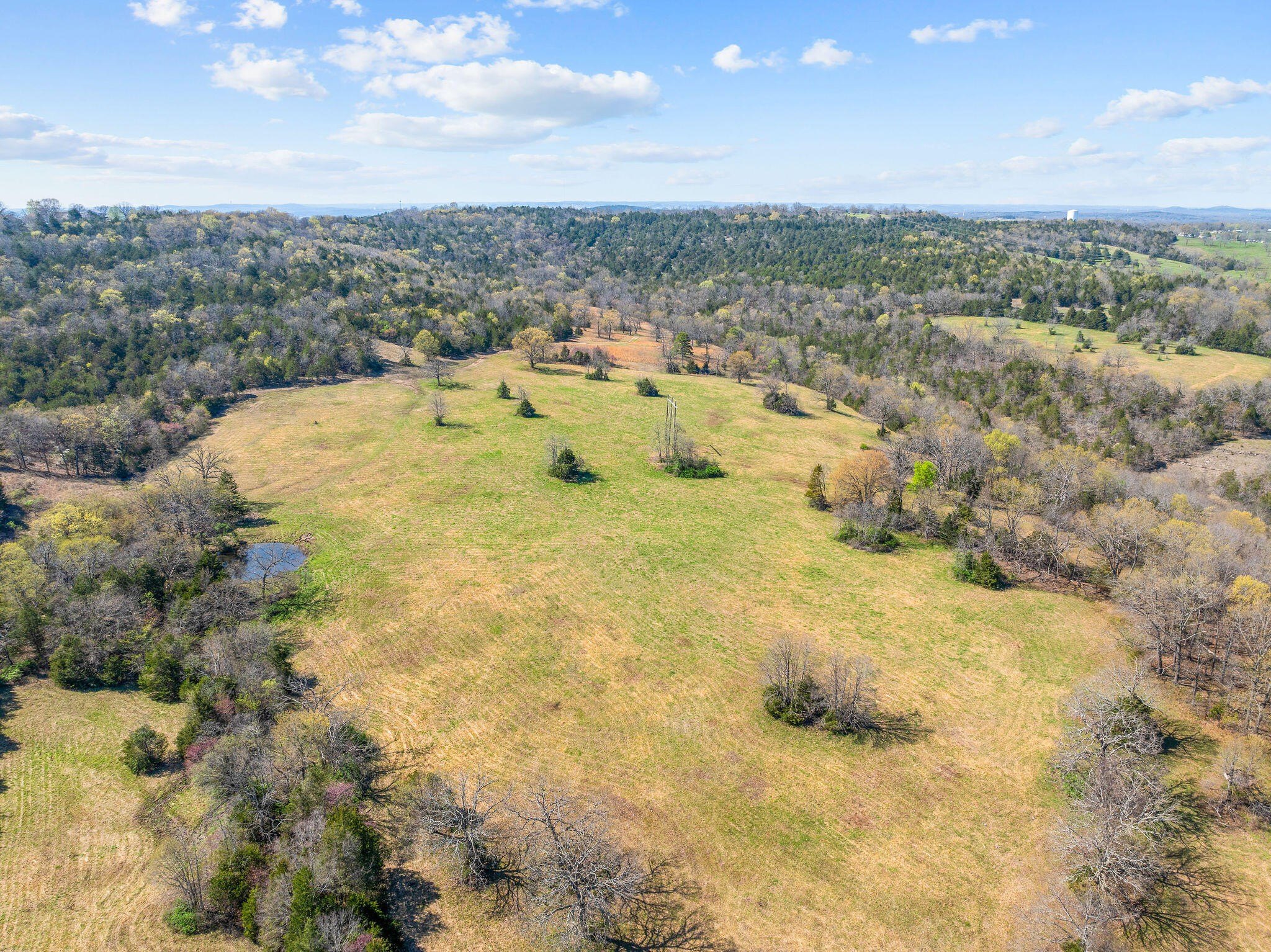 Kirbyville, Missouri, 65679, United States, ,Land,For Sale,1978892