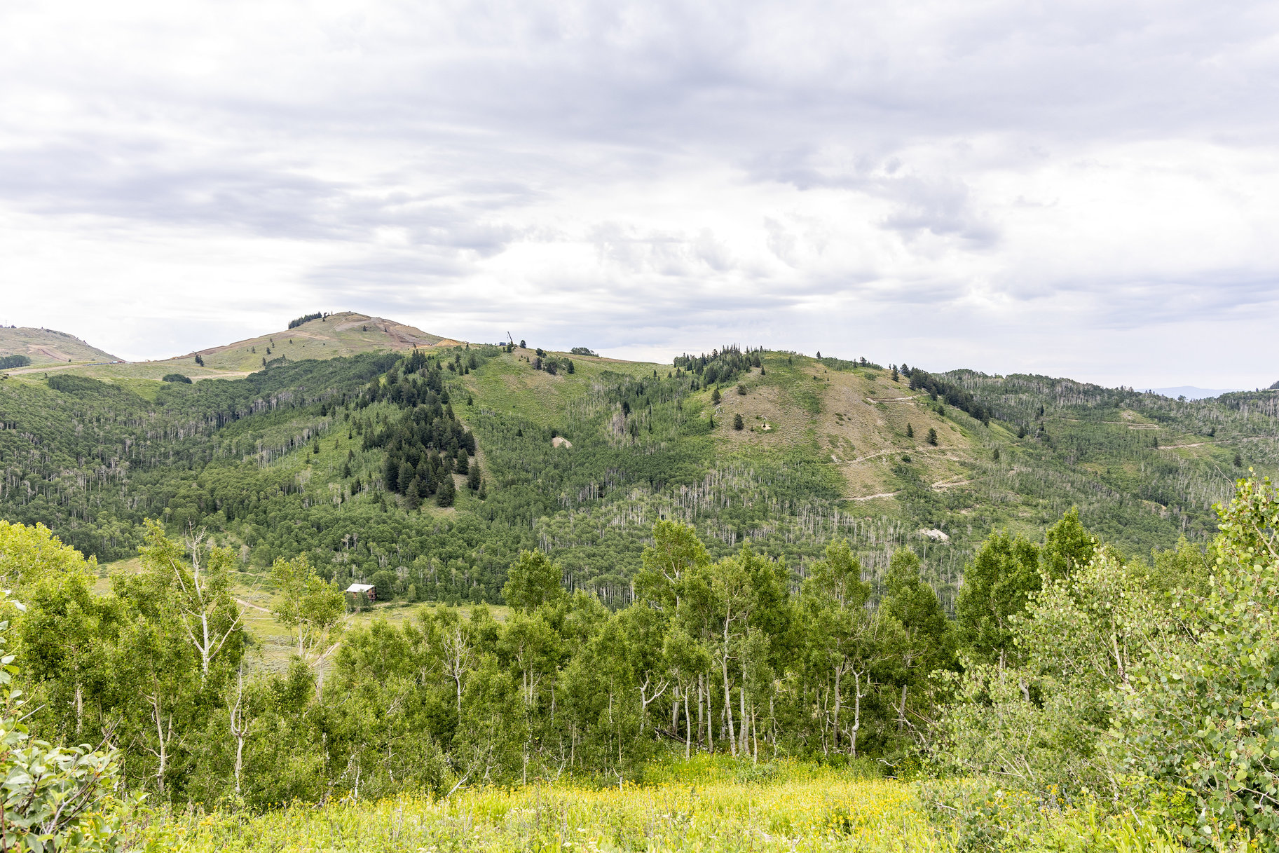  24 Acre Development Parcel in Bonanza Flats - 物件實景