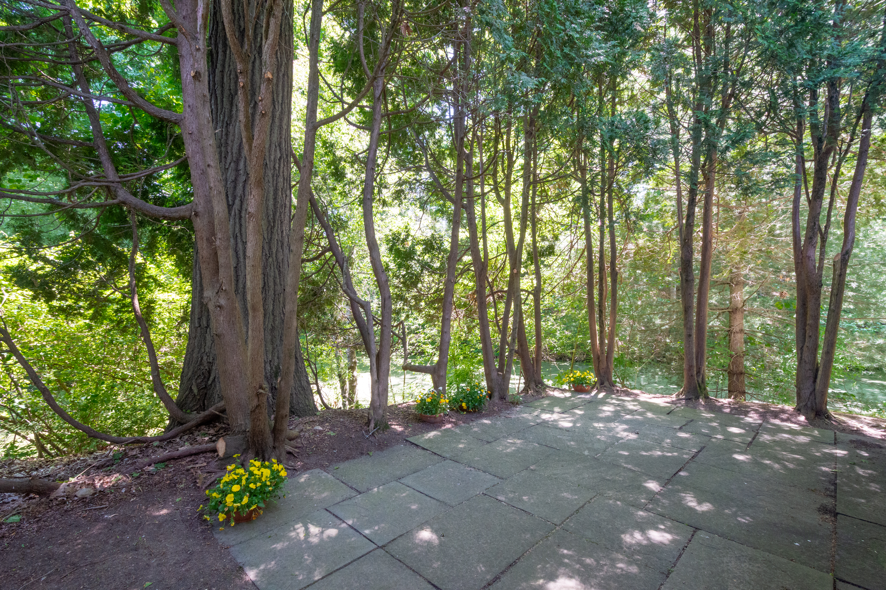  50 Todd Pond Road, Lincoln, MA 01773 - 物件實景