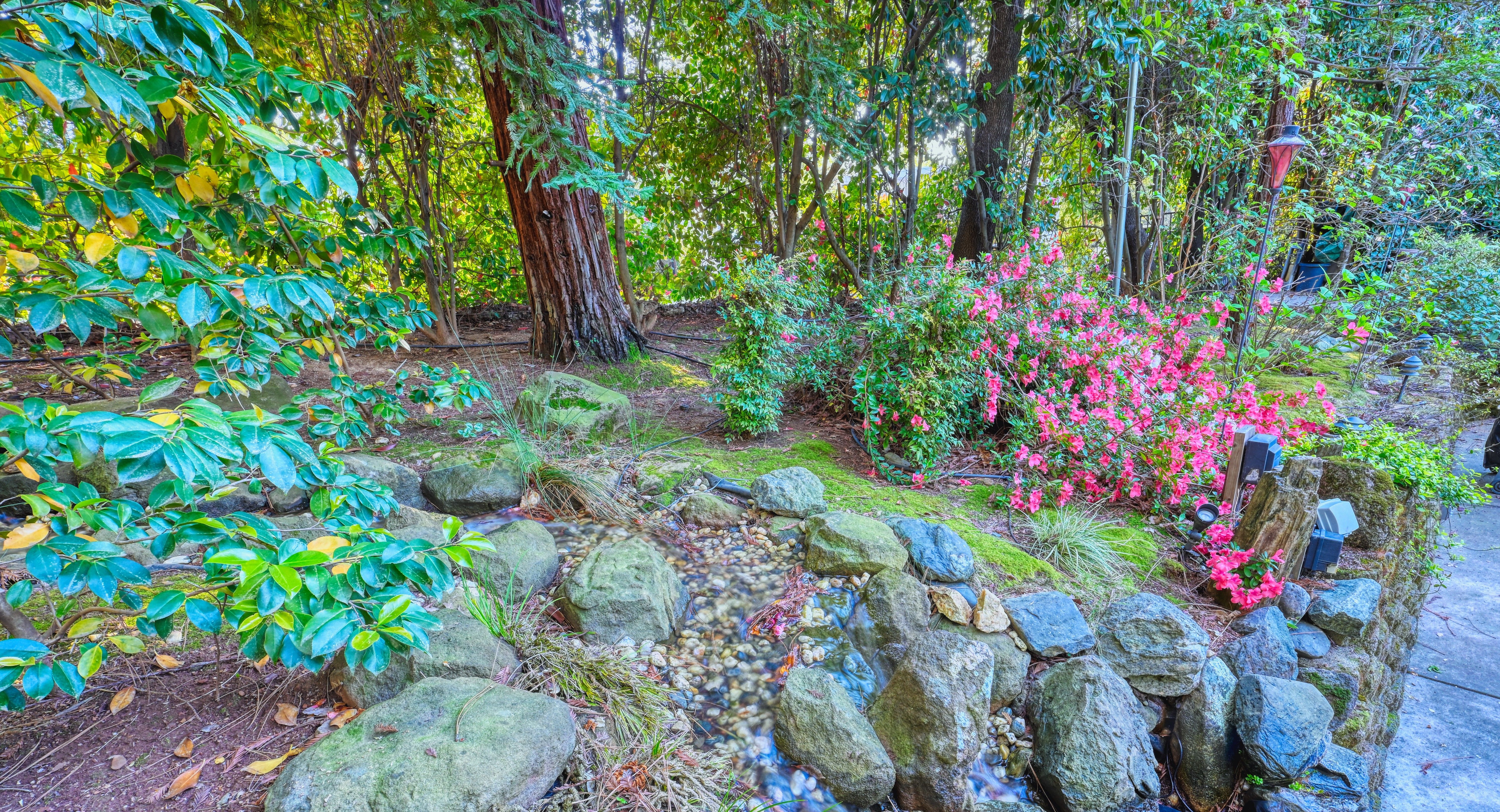  20925 Indian Drive, Colfax, CA 95713 - 物件實景