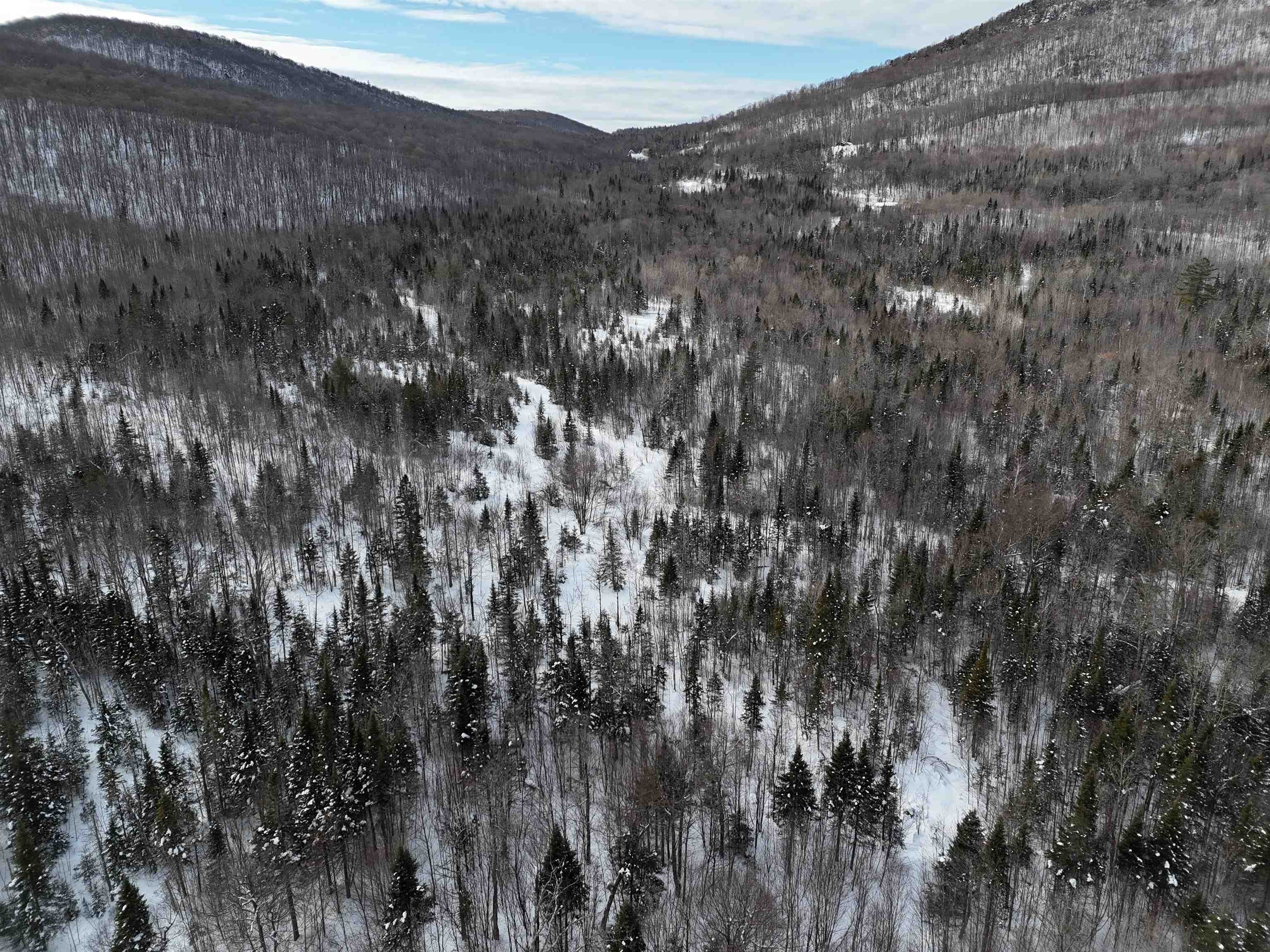 Wheelock, Vermont, 05851, United States, ,Land,For Sale,2017707